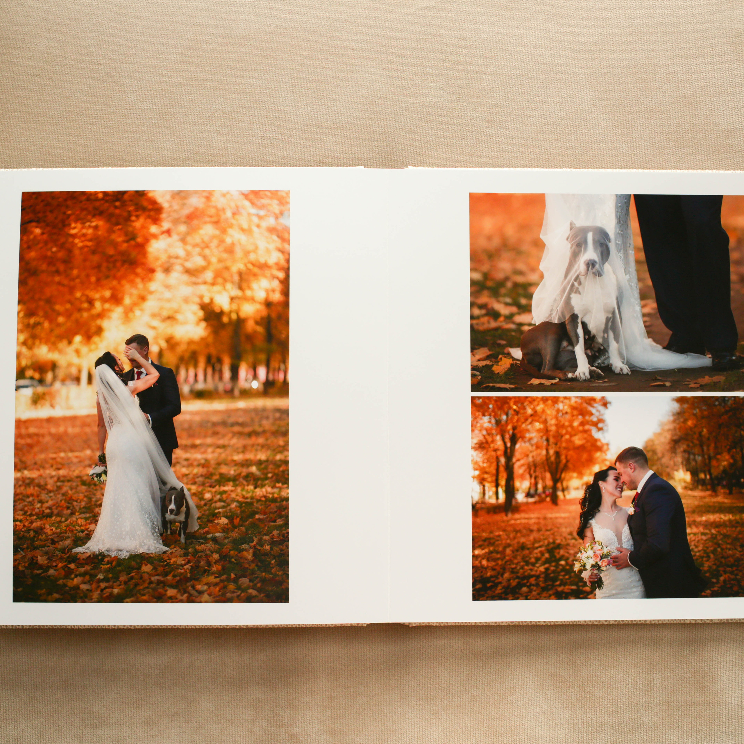 Фотокниги премиум-качества. Свадебный и репортажный фотограф (Москва, Королев и другие)