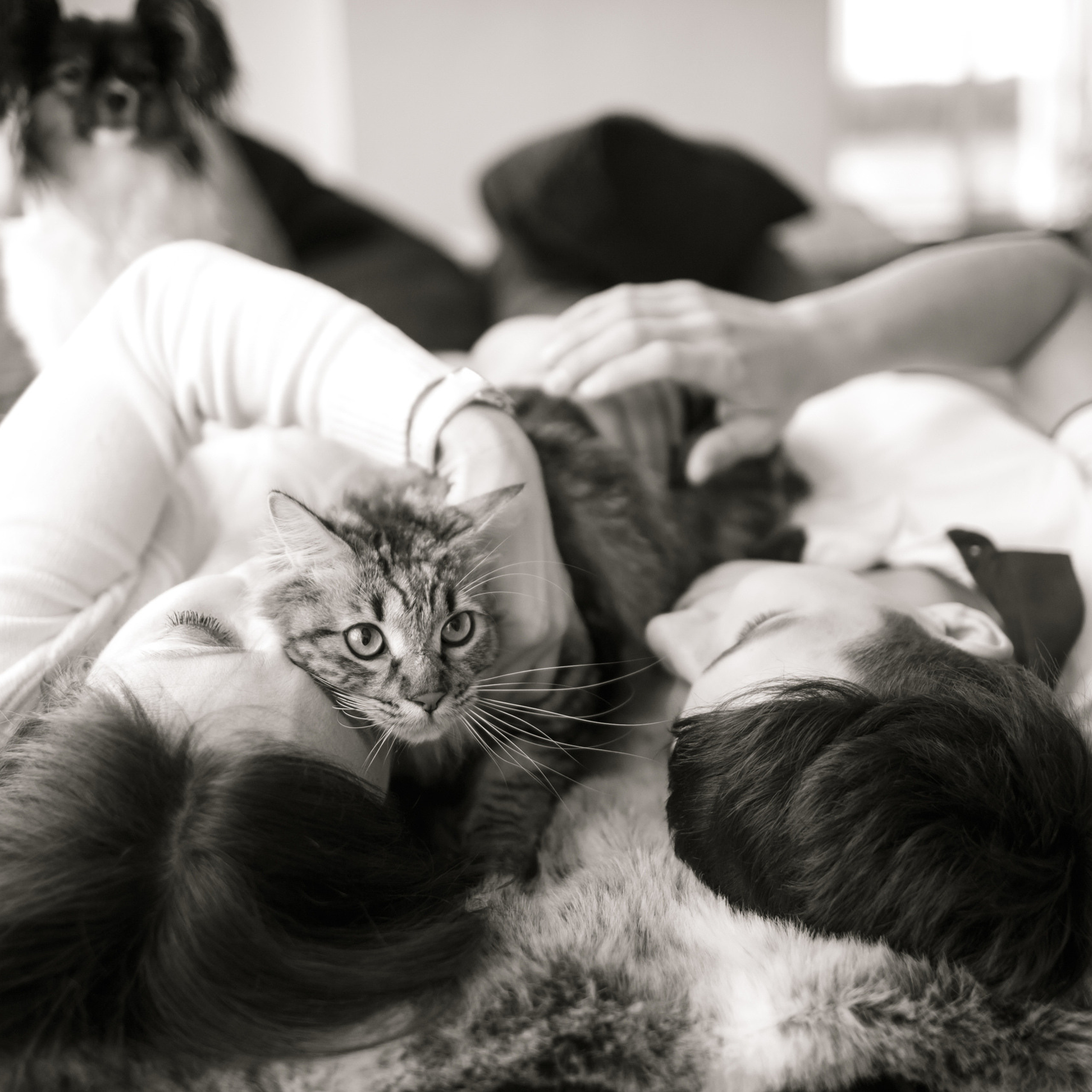 Семейная фотосессия