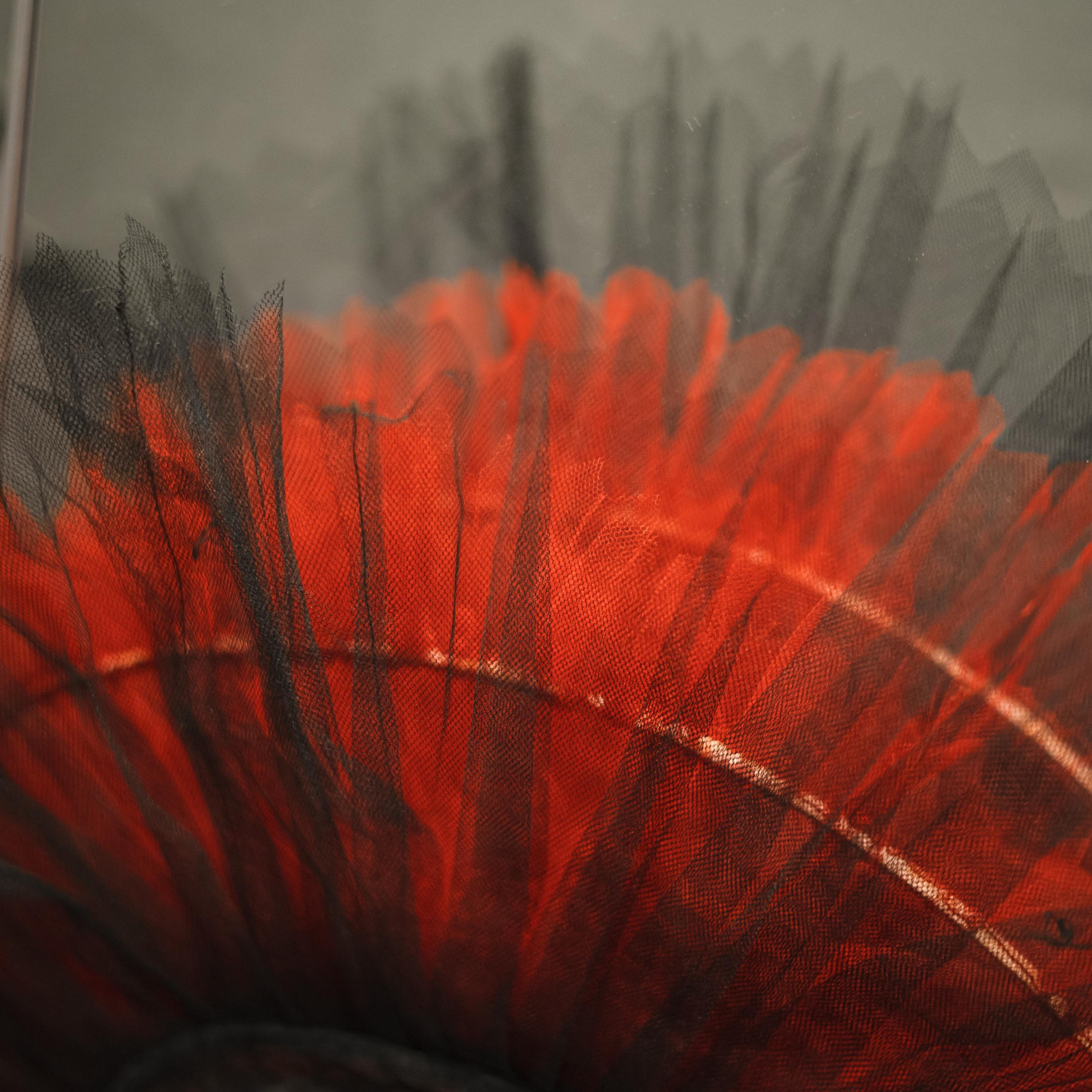 Отзывы о фотографе Маргарите Дементьевой. Свадебный и репортажный фотограф (Москва, Королев и другие)