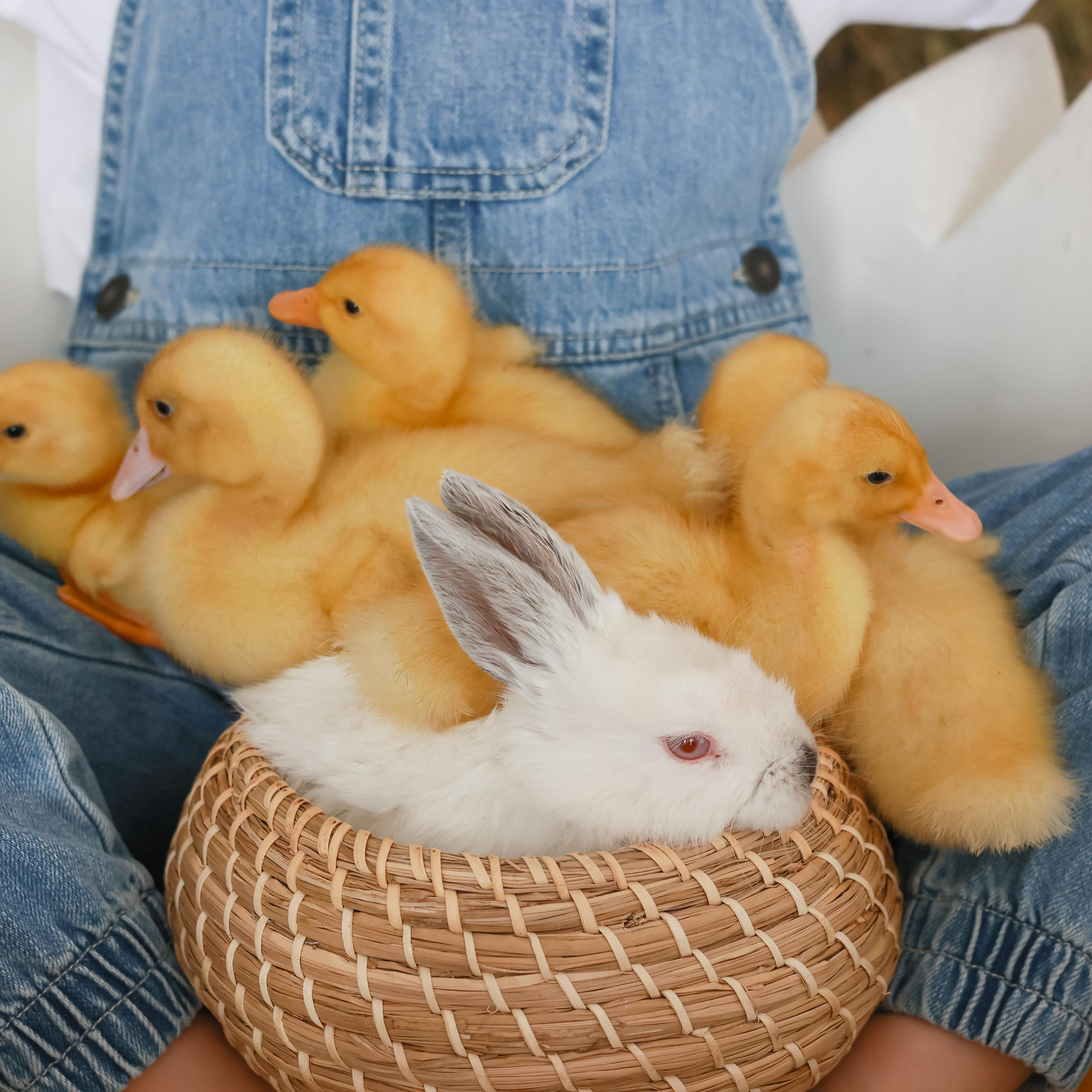 Отзывы о фотографе Маргарите Дементьевой. Свадебный и репортажный фотограф (Москва, Королев и другие)