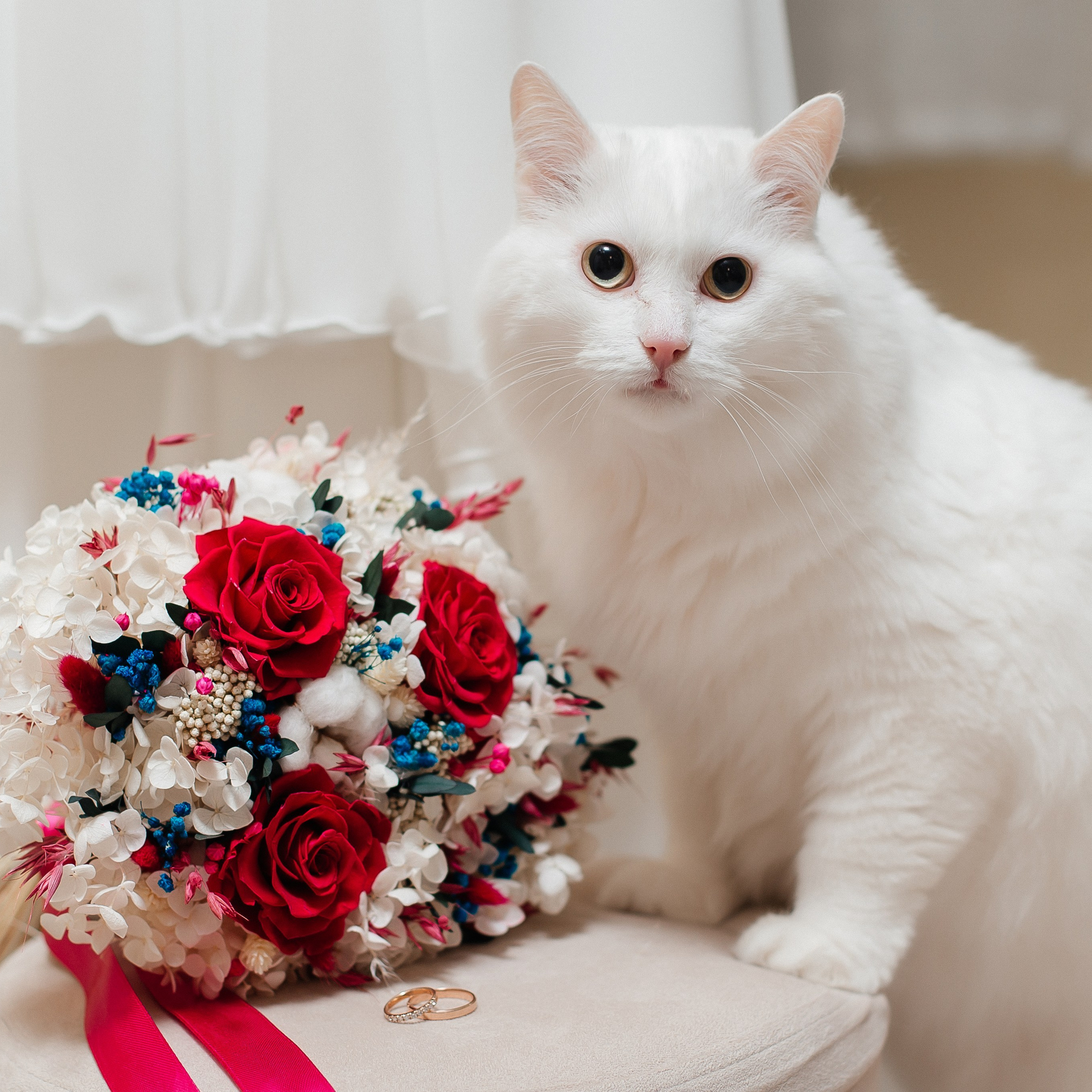 Отзывы. Свадебный и портретный фотограф Летавина Наталия. Екатеринбург