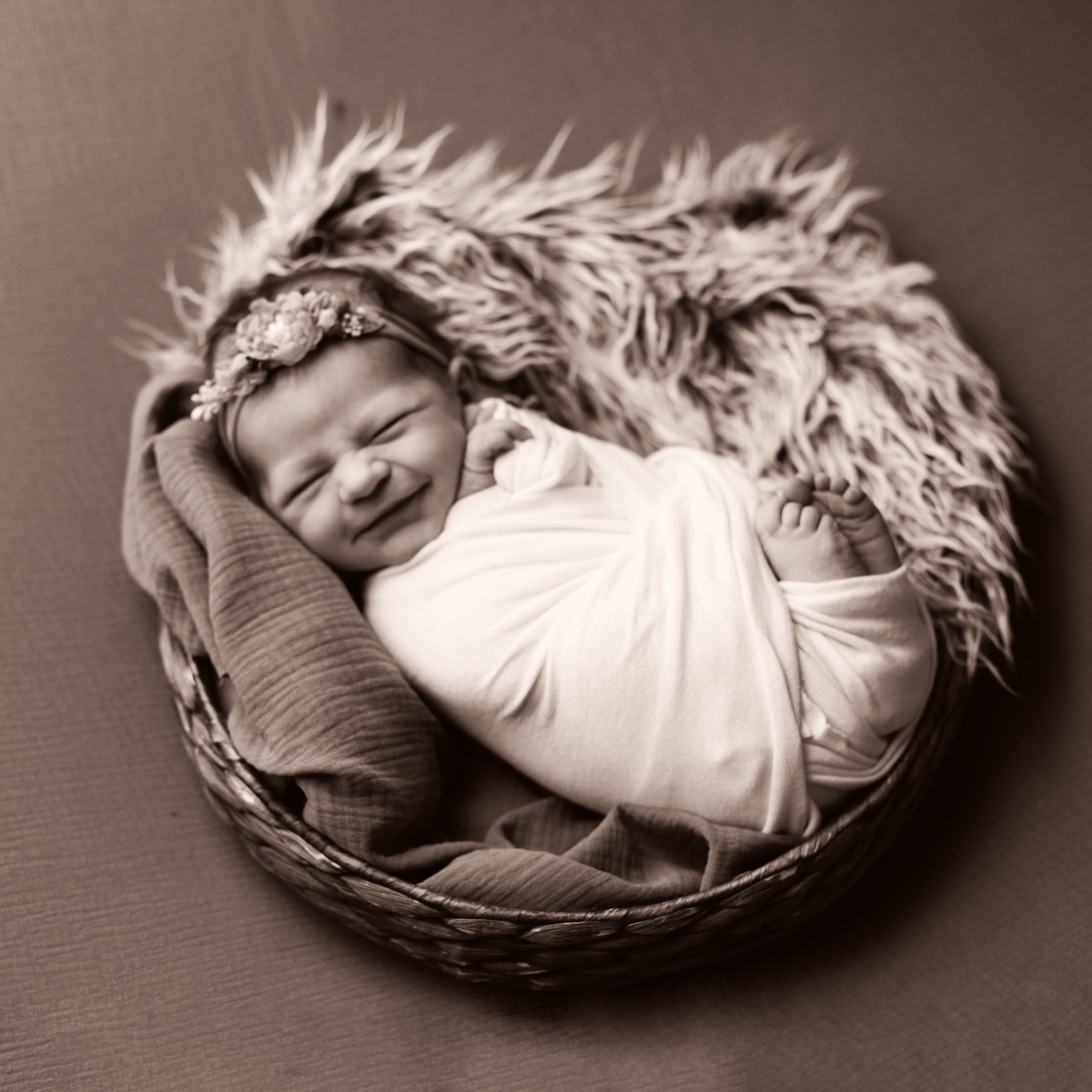 Отзывы о фотосессии новорожденных в СПб. Семейный фотограф в Санкт-Петербурге Бибаева Алла