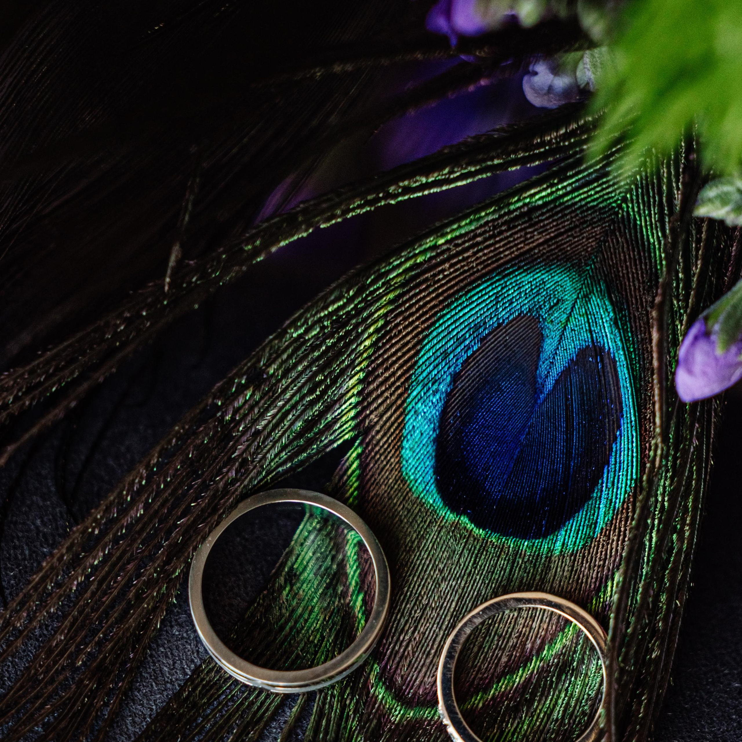 Отзывы. Репортажный фотограф Ольга Кочетова в Москве