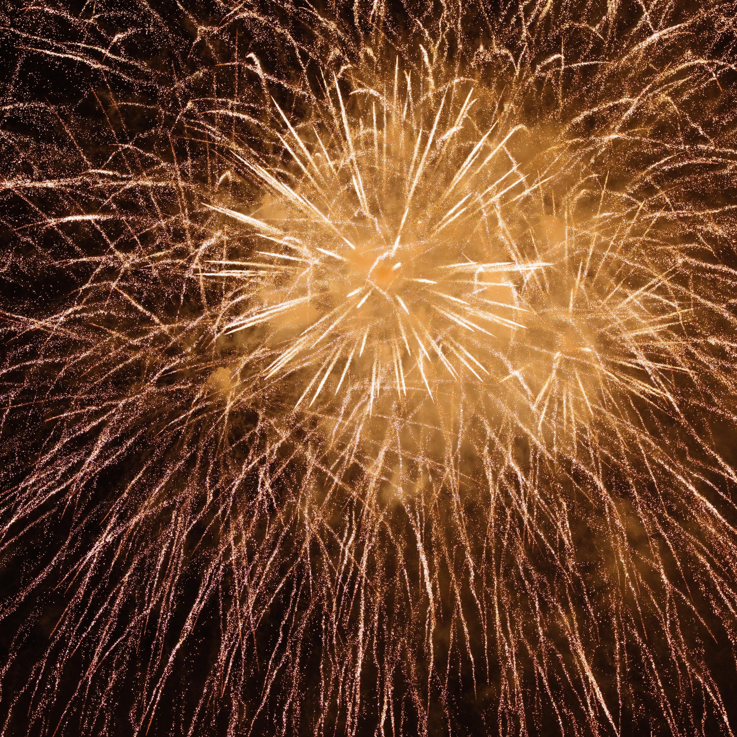 Отзывы. Репортажный фотограф Ольга Кочетова в Москве