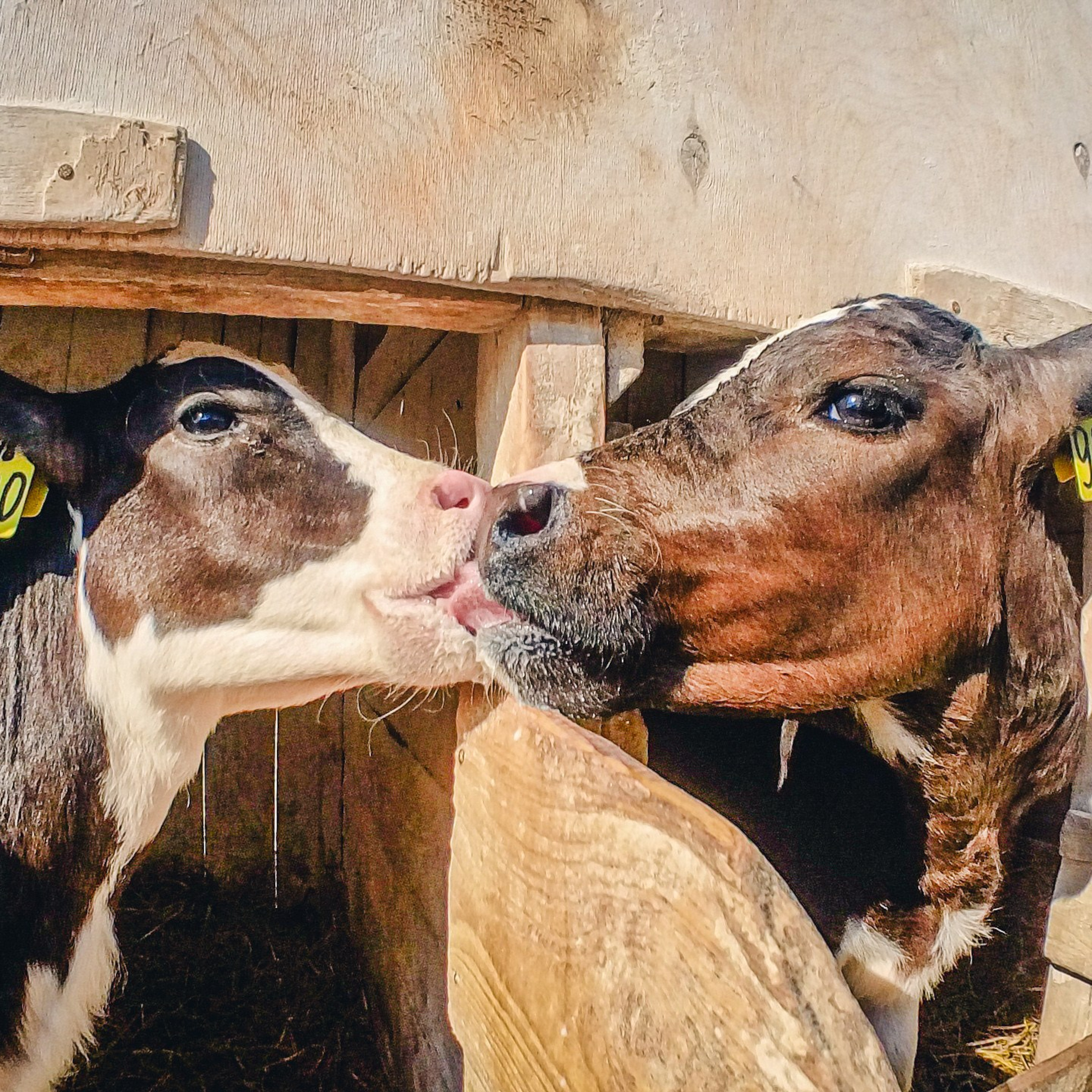 Сельское хозяйство