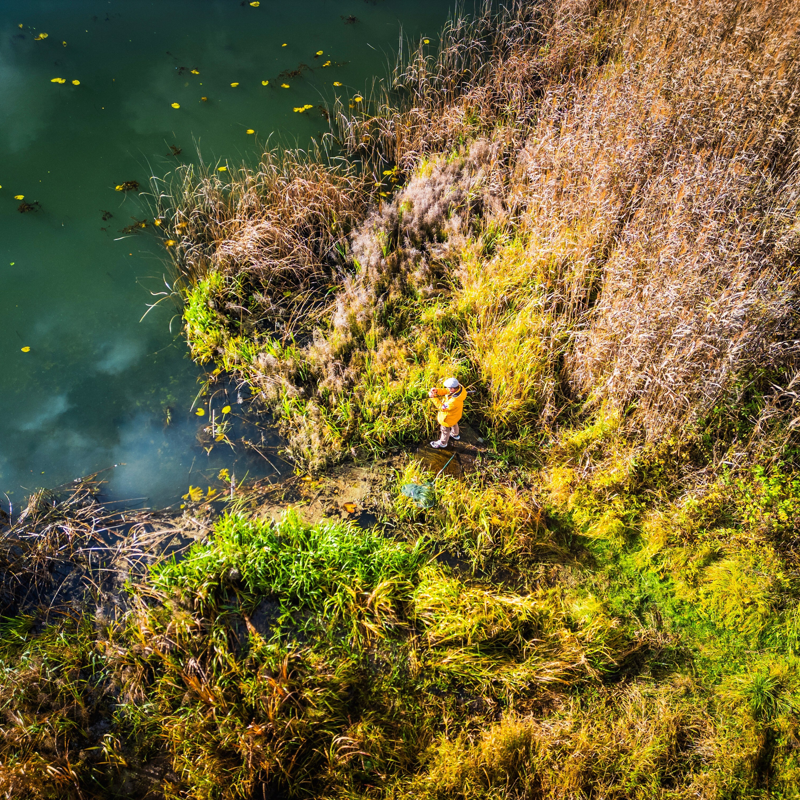 ОТЗЫВЫ. DRONBERRY — Аэросъемка Ярославль