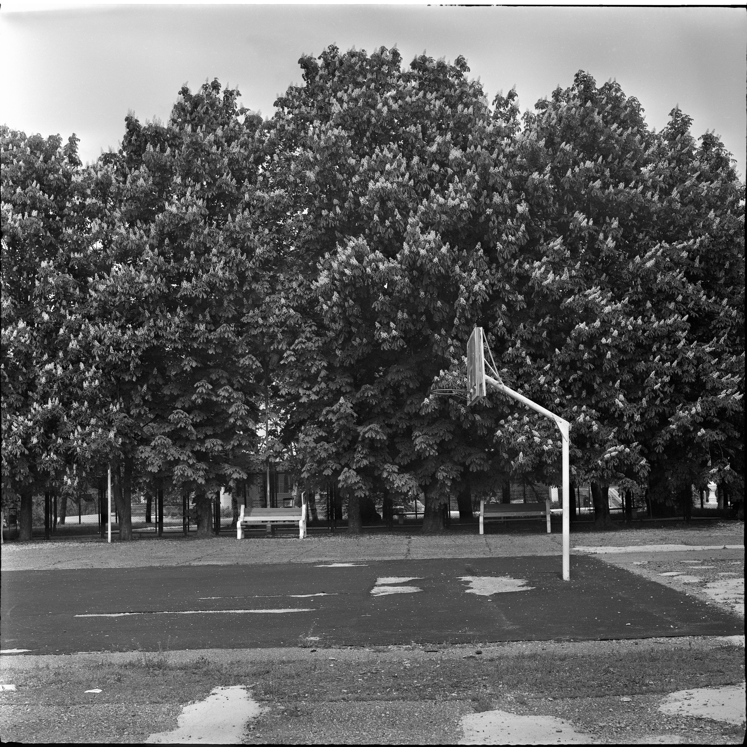 Ilford XP2 Plus-monochrome. Пленочный фотограф на КМВ Мирнов Игорь