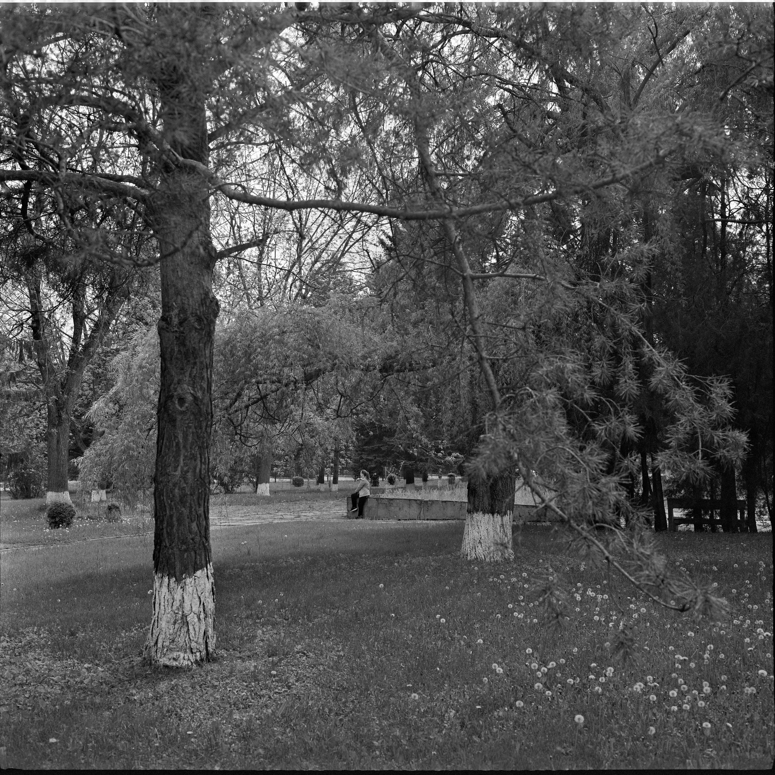 Ilford XP2 Plus-monochrome. Пленочный фотограф на КМВ Мирнов Игорь