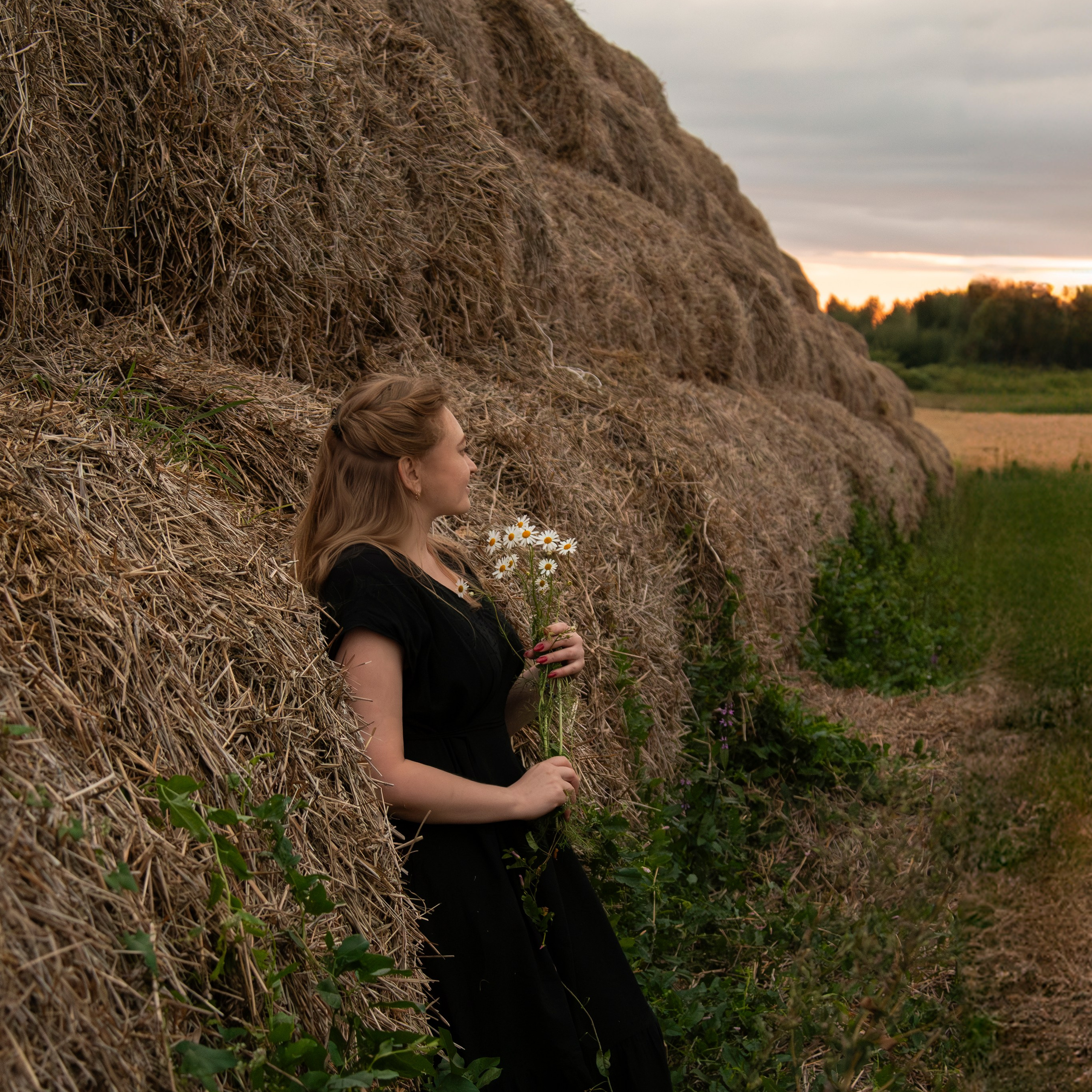 Экспресс-съемка в стогах