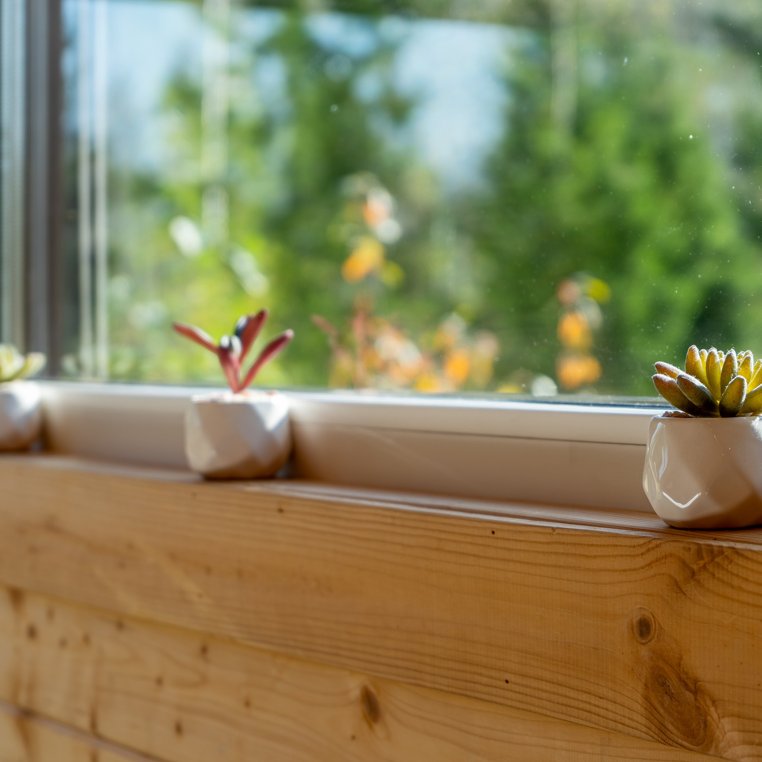 Базы отдыха. Интерьерная съемка в Ярославле, Москве, Санкт-Петербурге