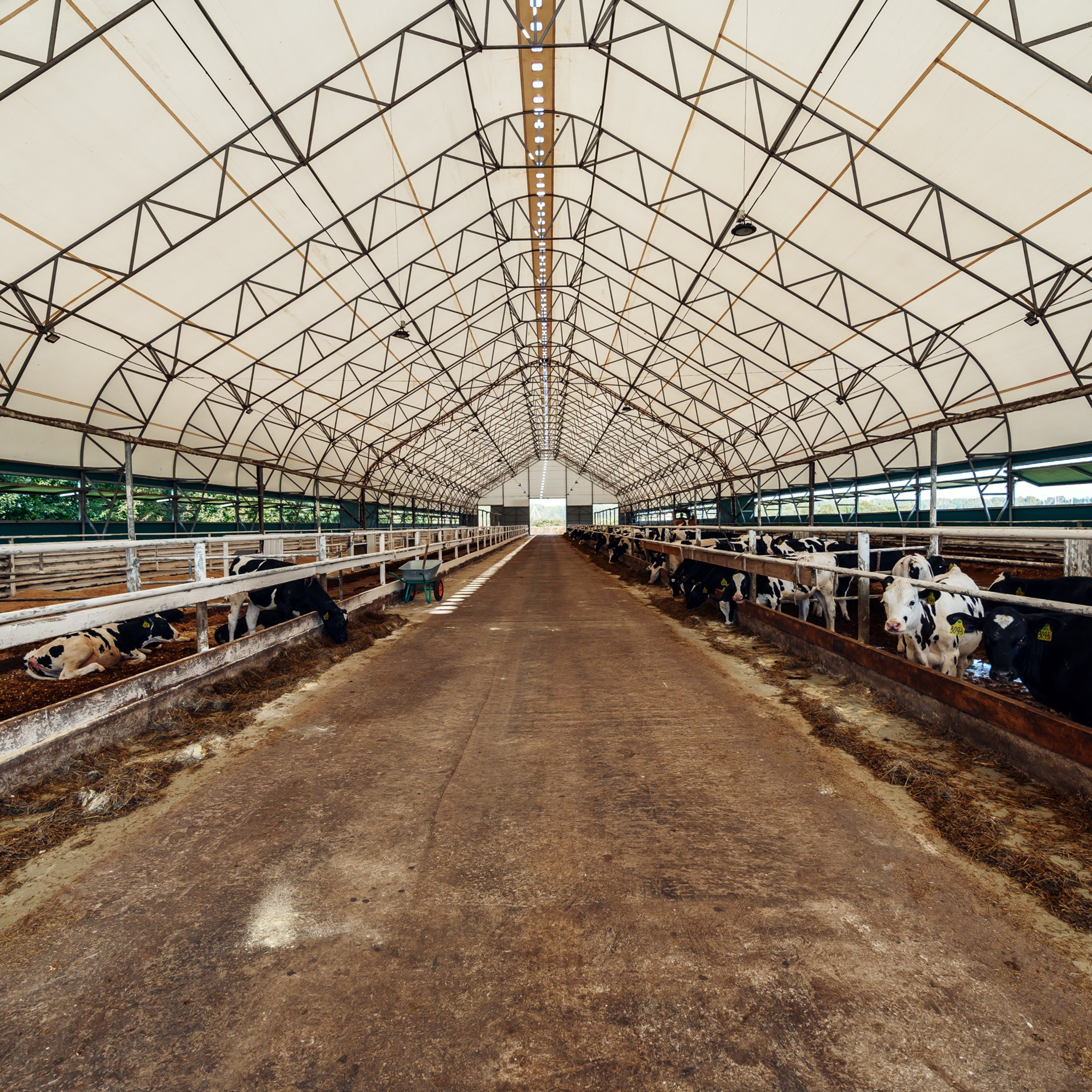 Бизнес. Интерьерная съемка в Ярославле, Москве, Санкт-Петербурге