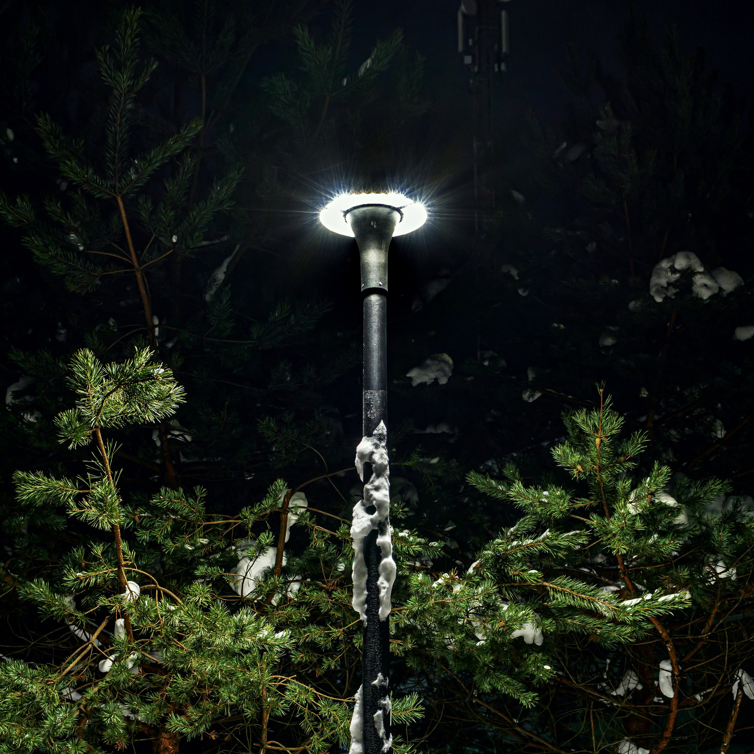 Парки. Интерьерная съемка в Ярославле, Москве, Санкт-Петербурге