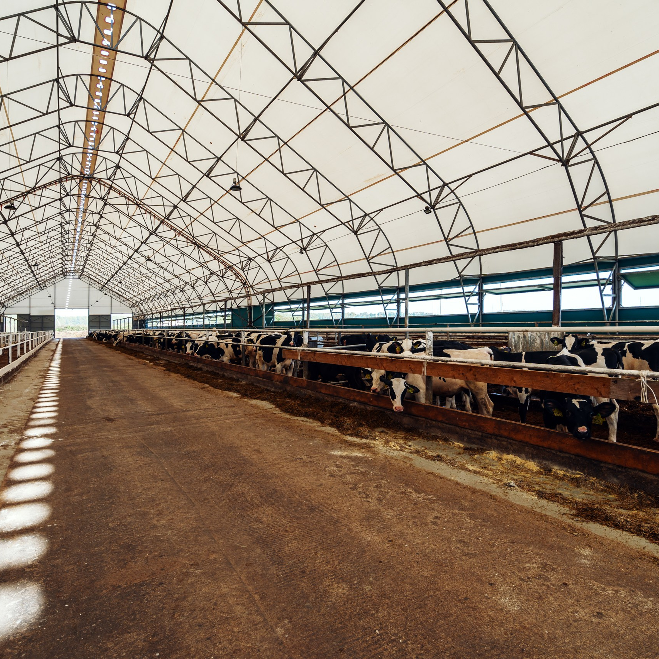 Бизнес. Интерьерная съемка в Ярославле, Москве, Санкт-Петербурге