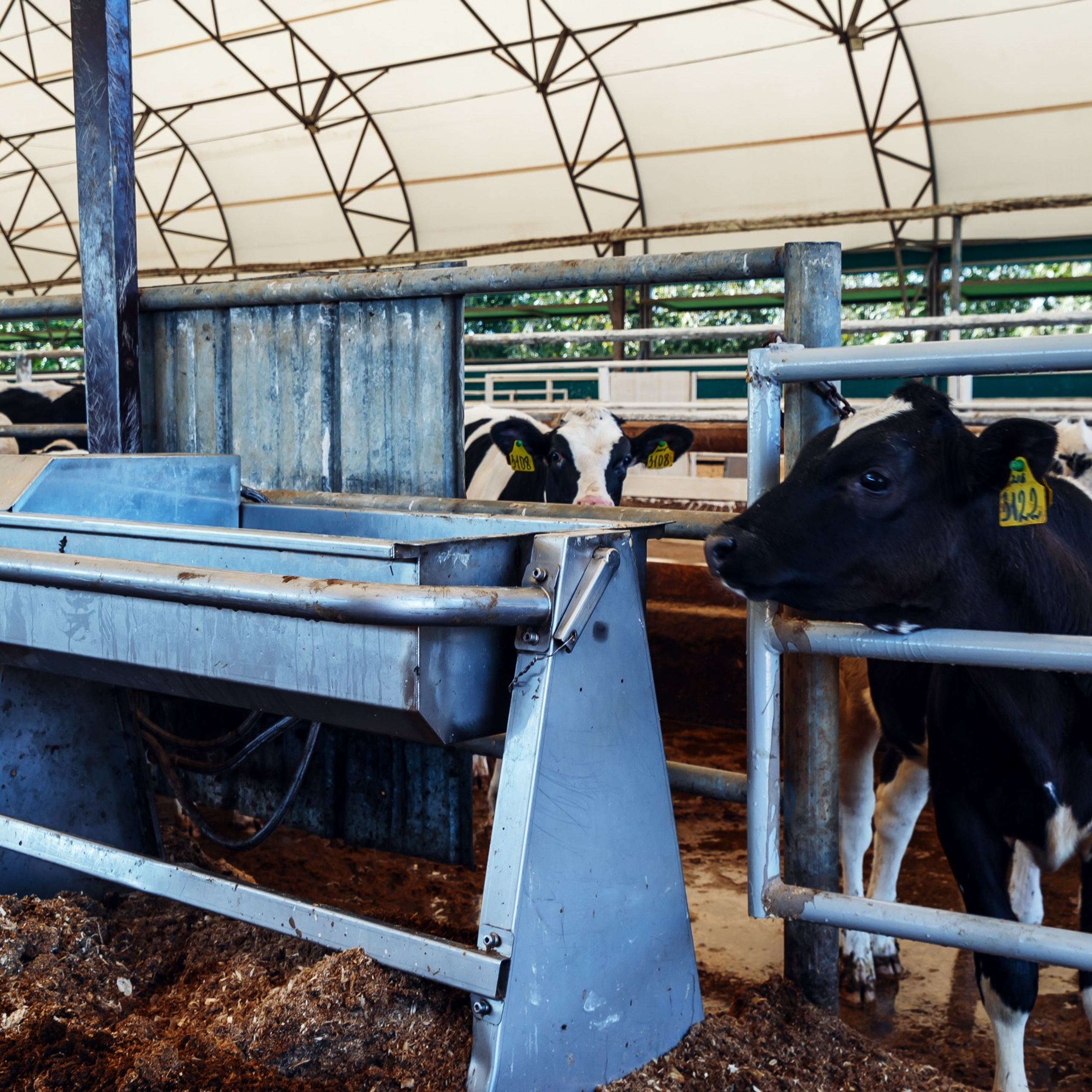 Бизнес. Интерьерная съемка в Ярославле, Москве, Санкт-Петербурге
