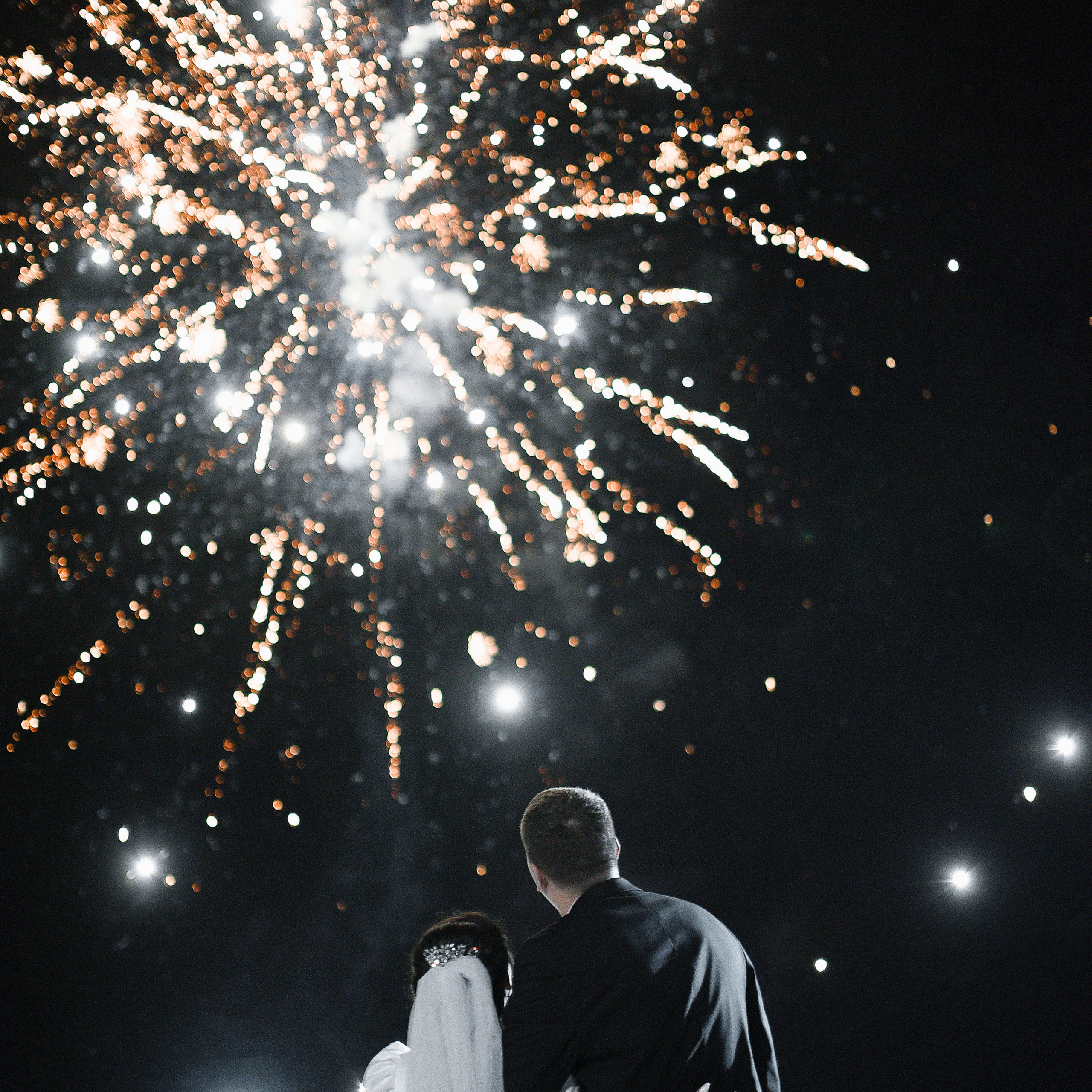 Дмитрий и Анна