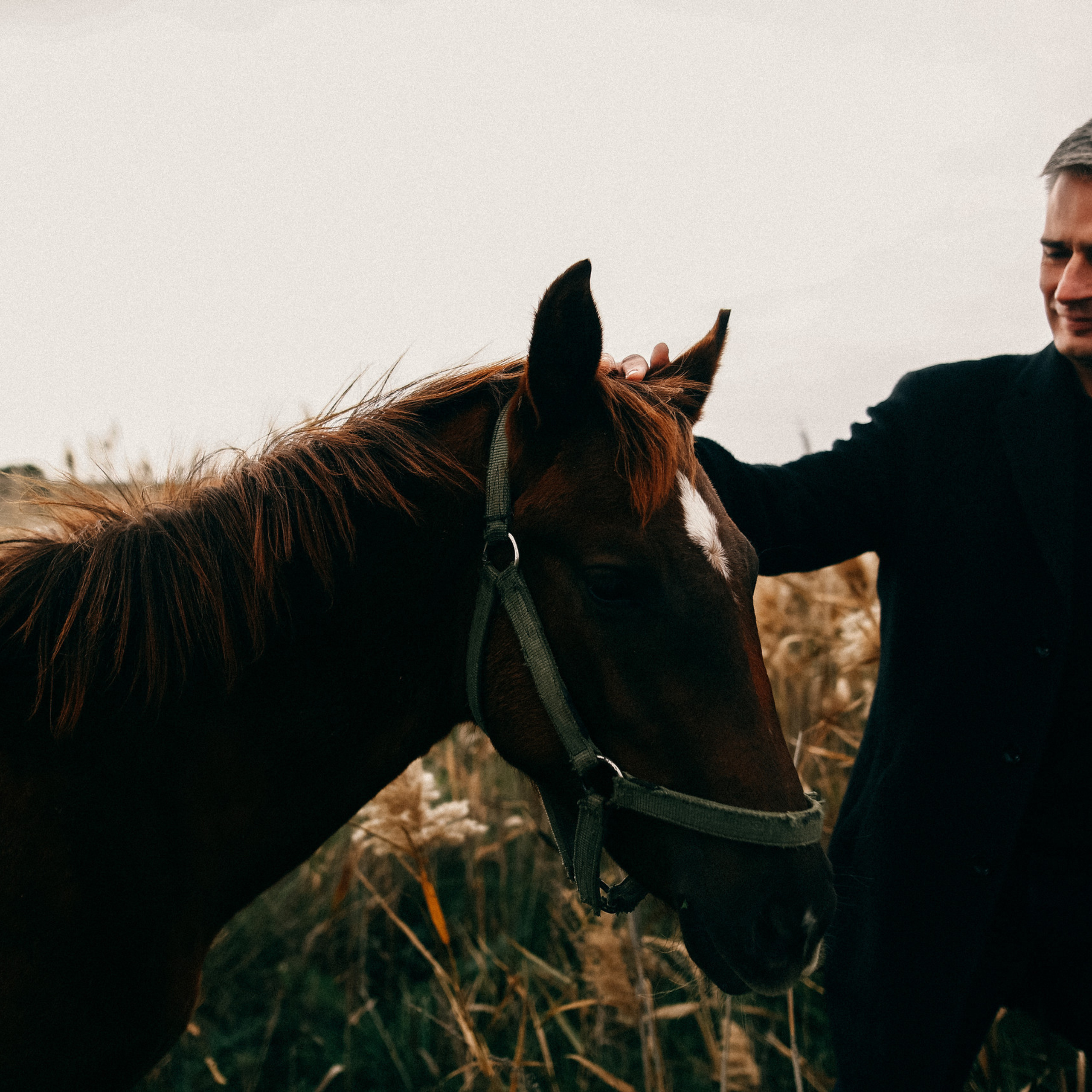 Отзывы. Соня Черных (sophieblack)