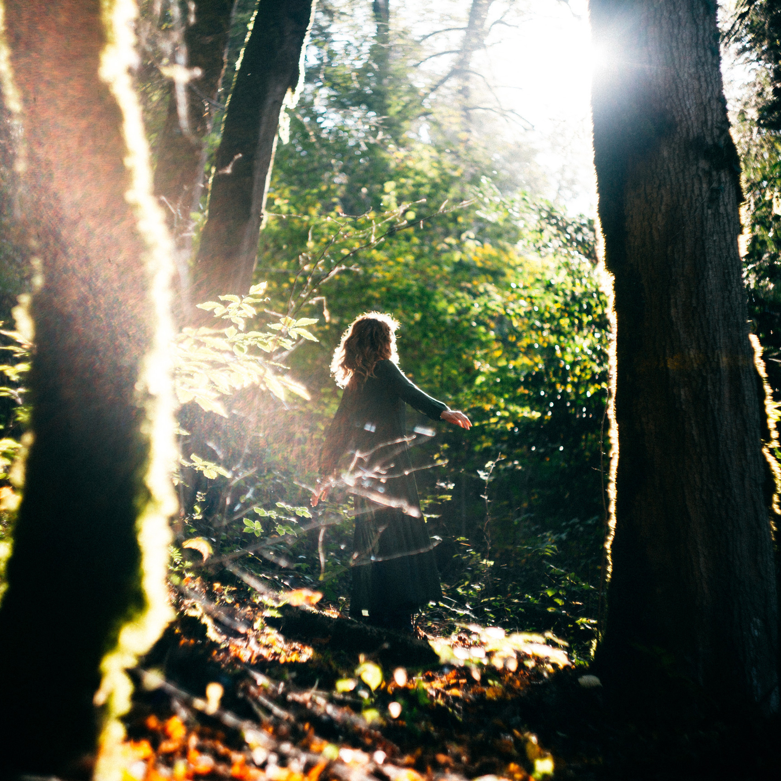 Отзывы. Соня Черных (sophieblack)