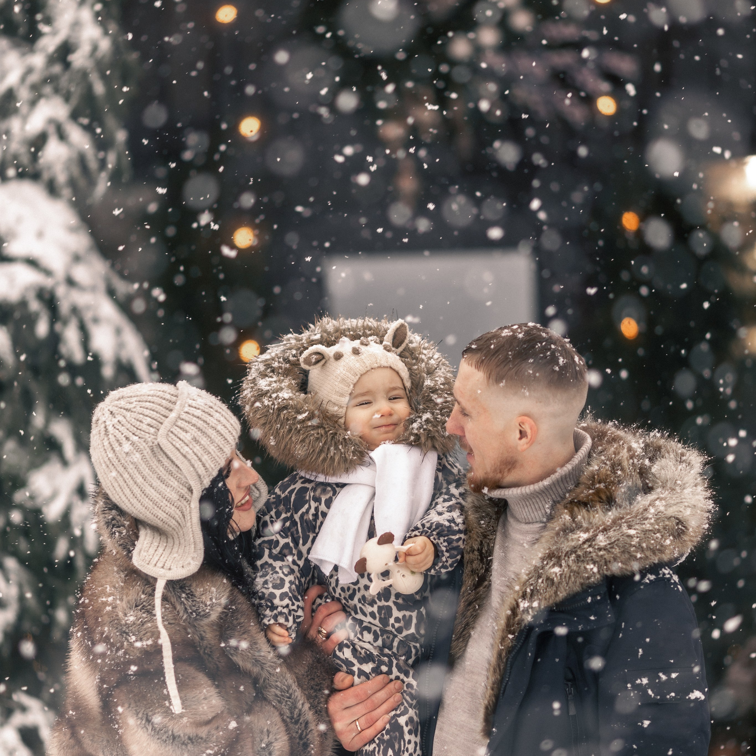 Зимняя сказка