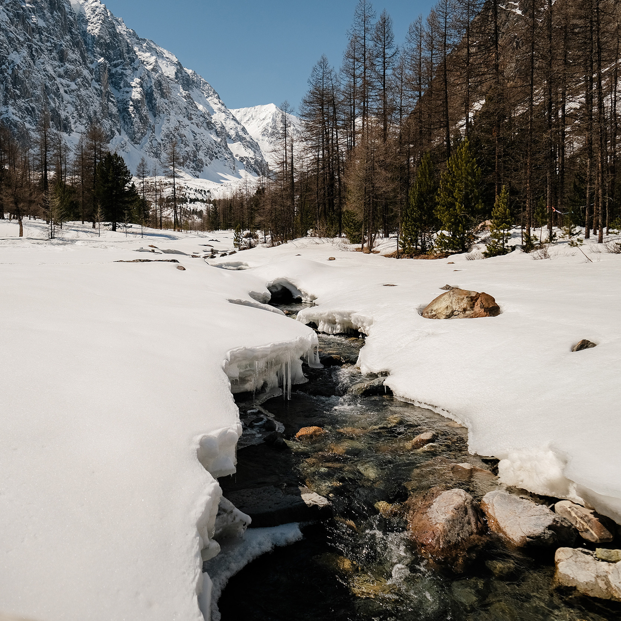 Алтай 2021. Фотограф Юрий Марилов Москва, Тюмень