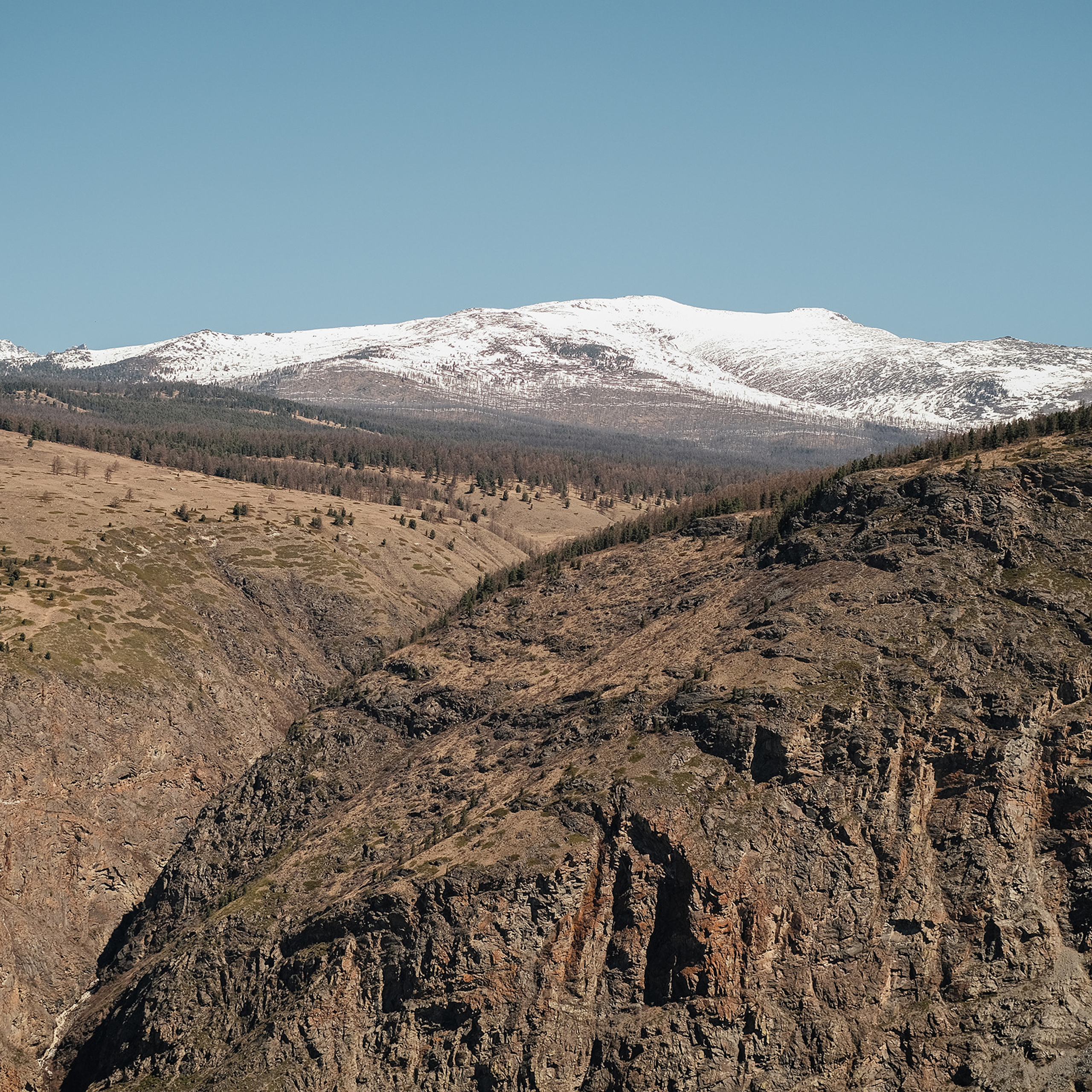 Алтай 2021. Фотограф Юрий Марилов Москва, Тюмень