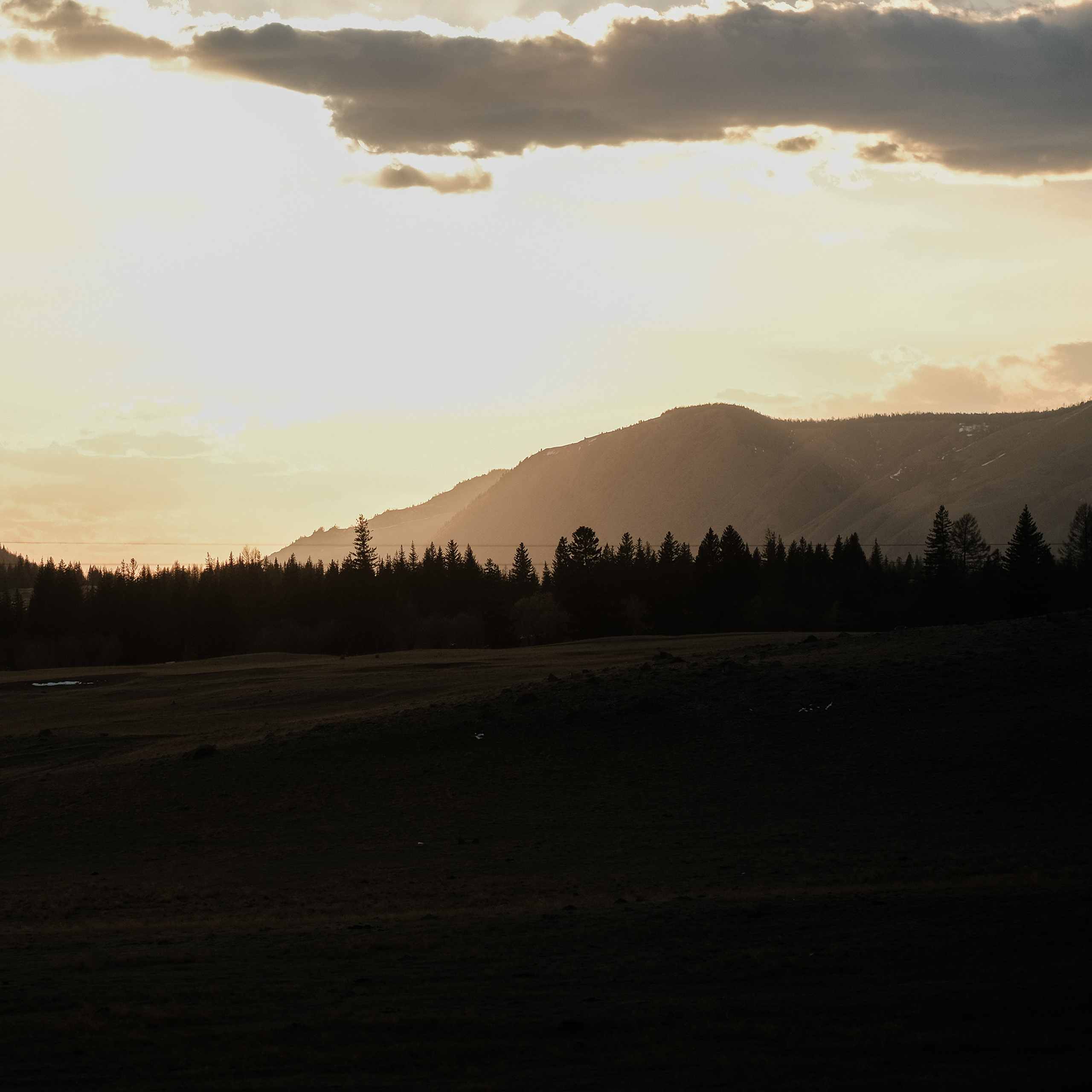 Алтай 2021. Фотограф Юрий Марилов Москва, Тюмень