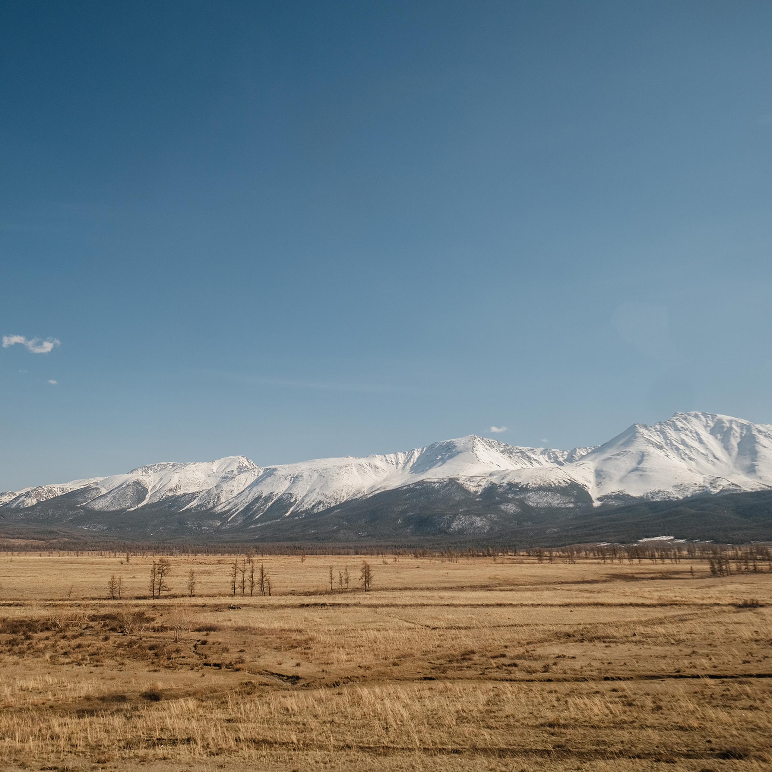 Алтай 2021. Фотограф Юрий Марилов Москва, Тюмень