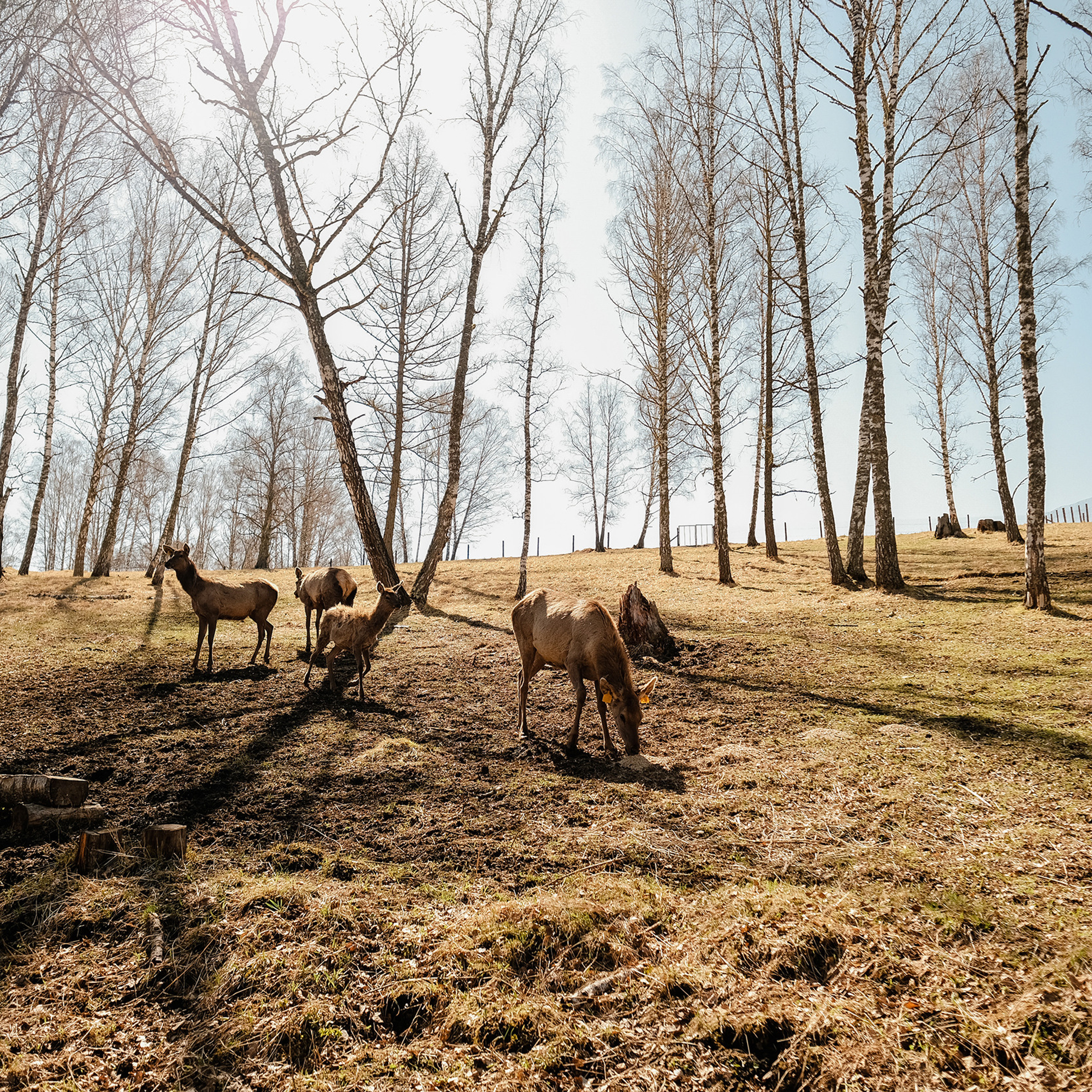 Алтай 2021. Фотограф Юрий Марилов Москва, Тюмень