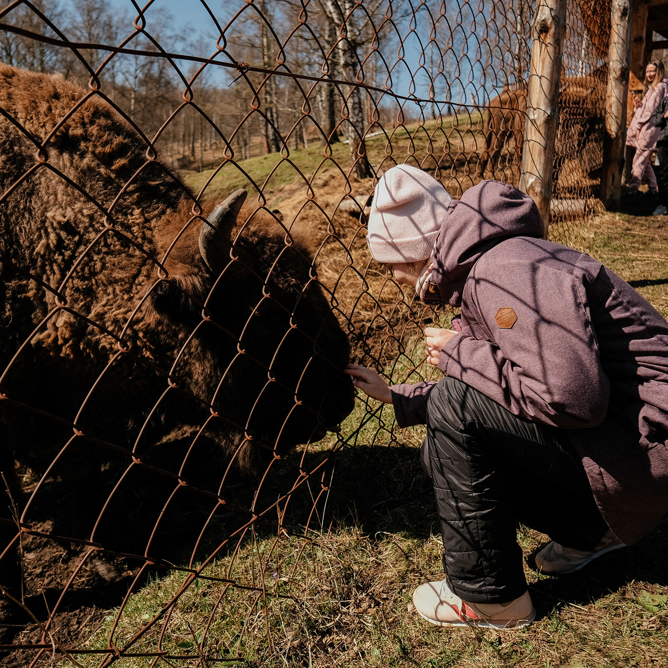 Алтай 2021. Фотограф Юрий Марилов Москва, Тюмень