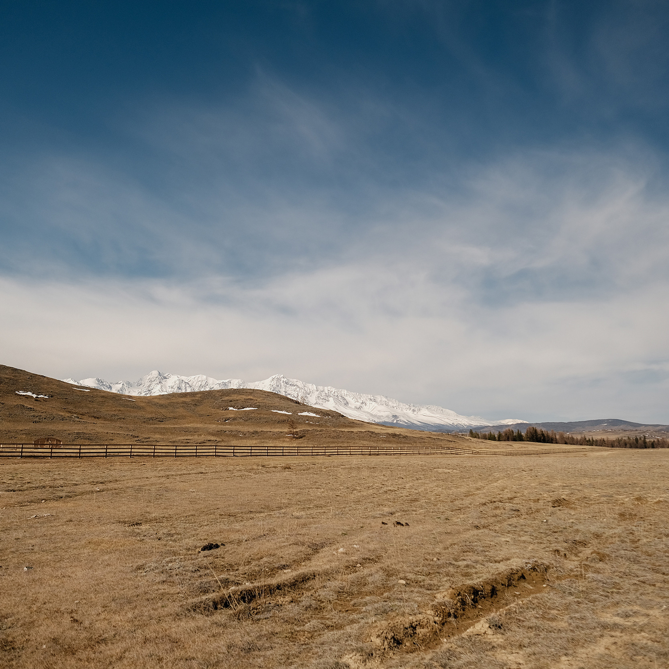 Алтай 2021. Фотограф Юрий Марилов Москва, Тюмень