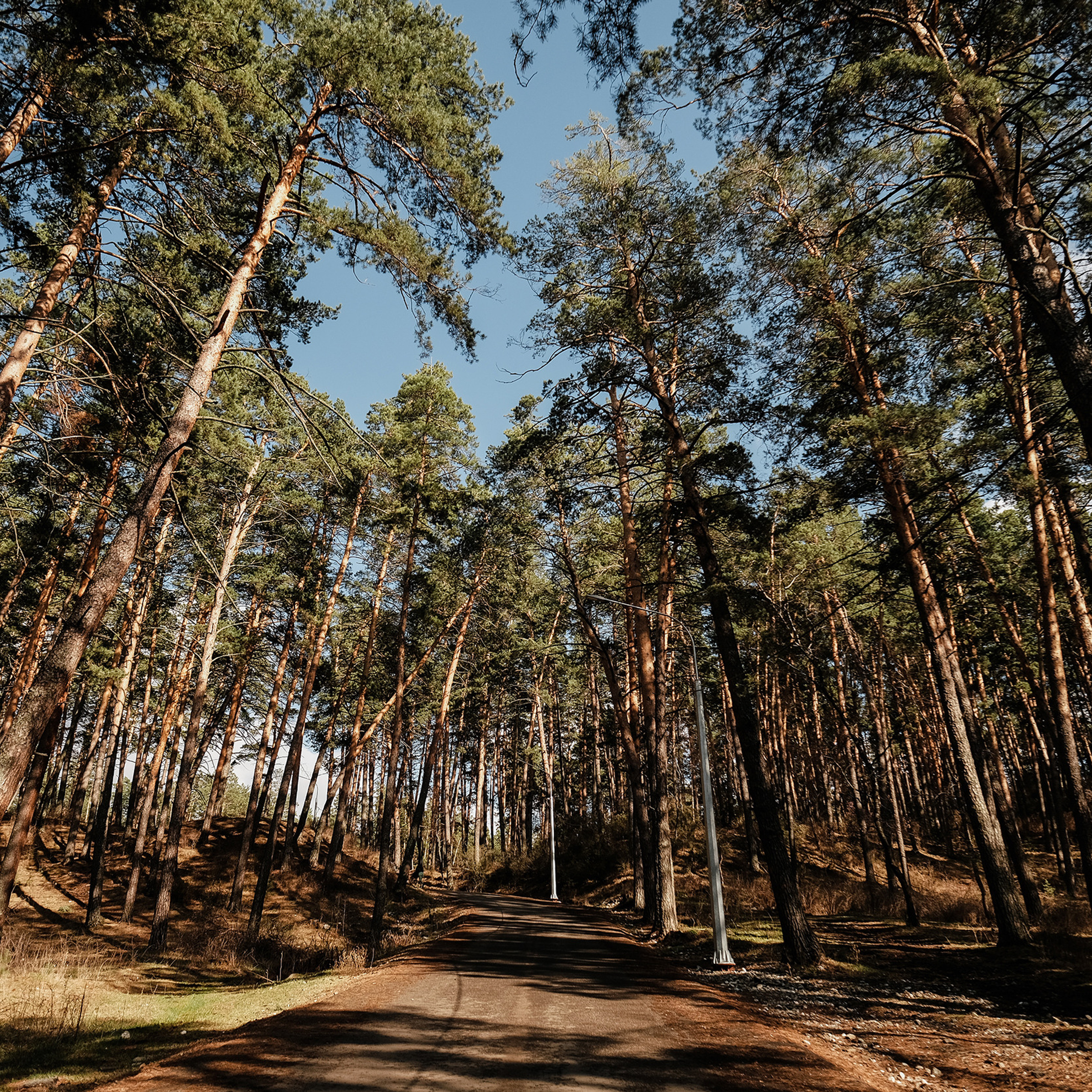 Алтай 2021. Фотограф Юрий Марилов Москва, Тюмень