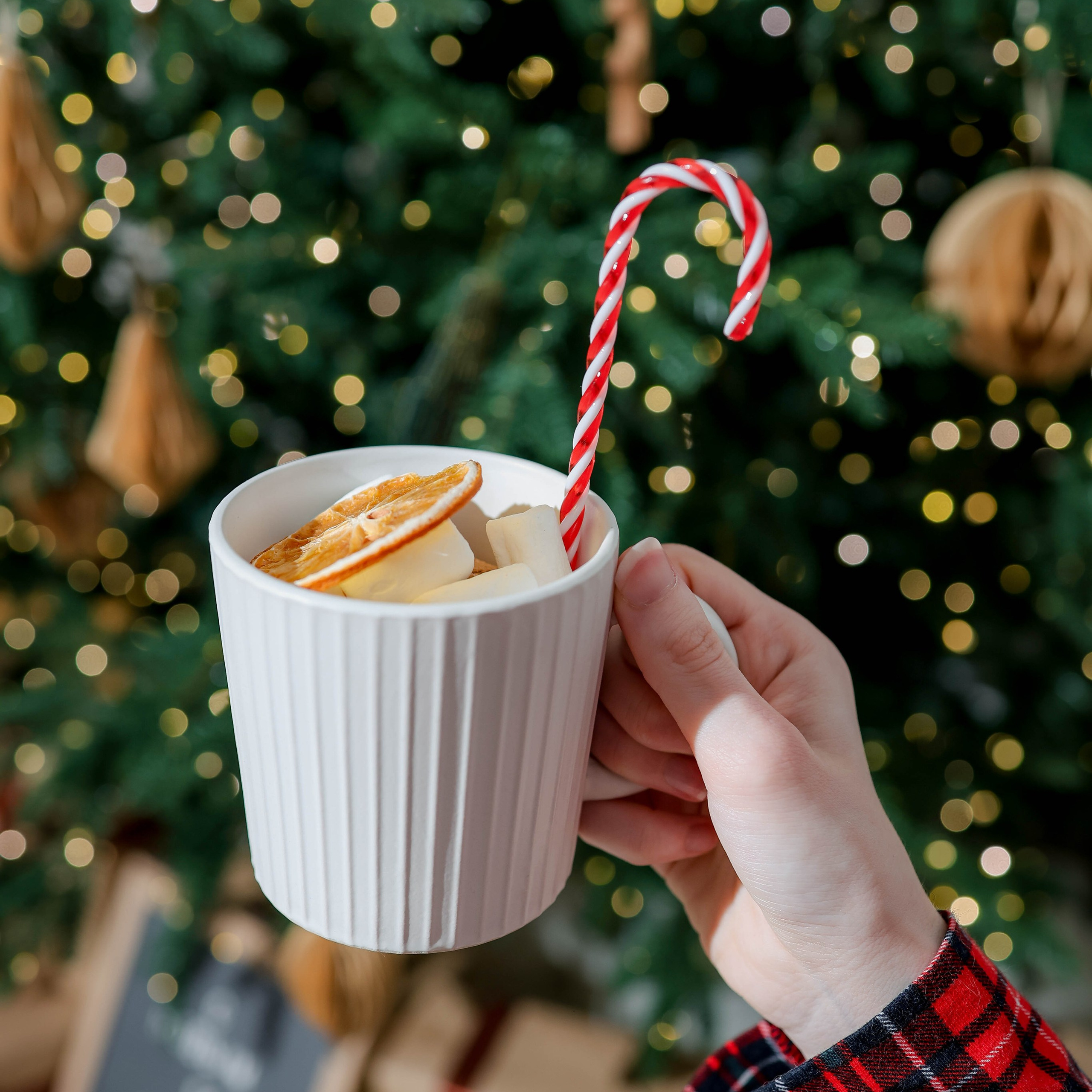 Отзывы. Alexsaphoto.ru