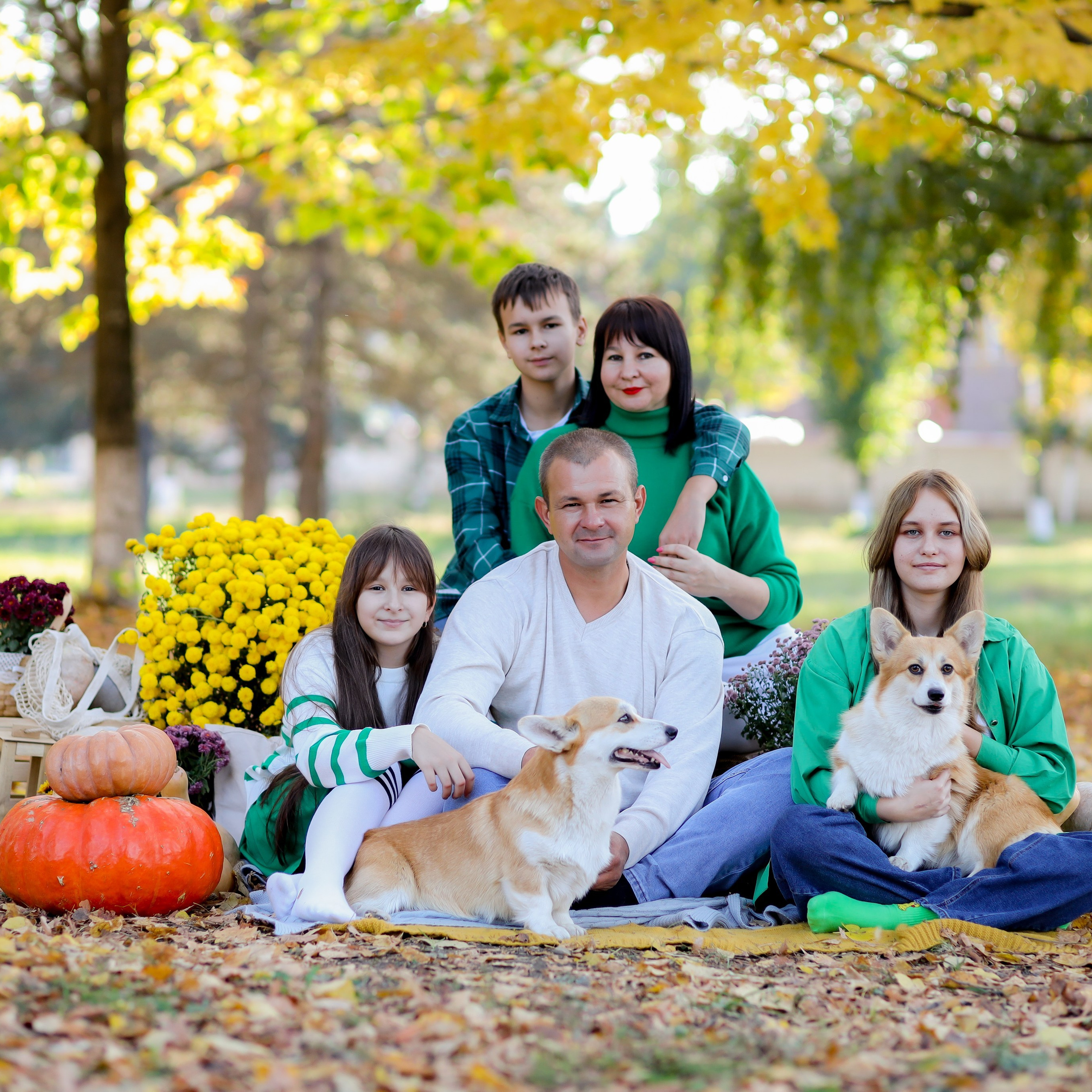 Отзывы. Alexsaphoto.ru