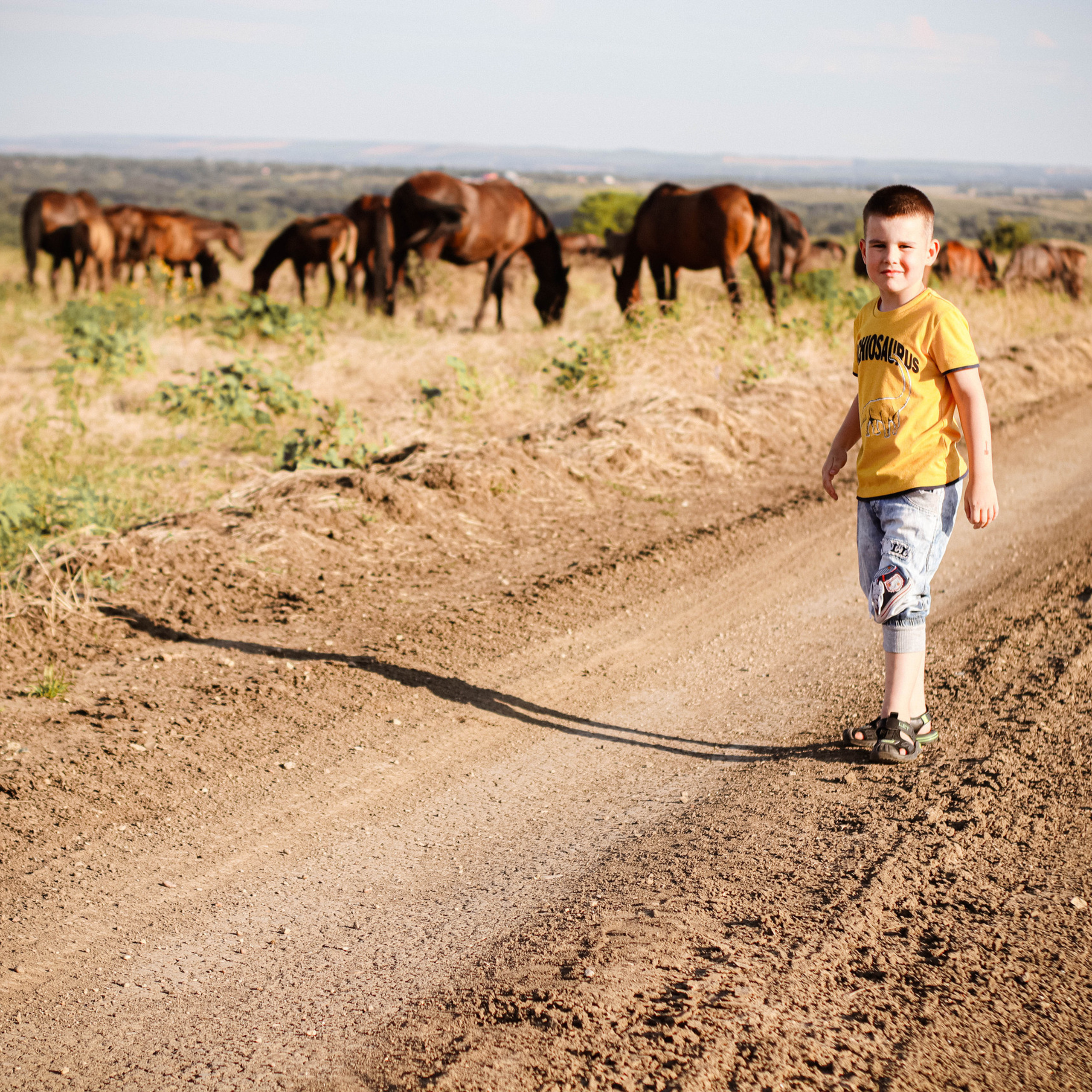 Отзывы. Alexsaphoto.ru