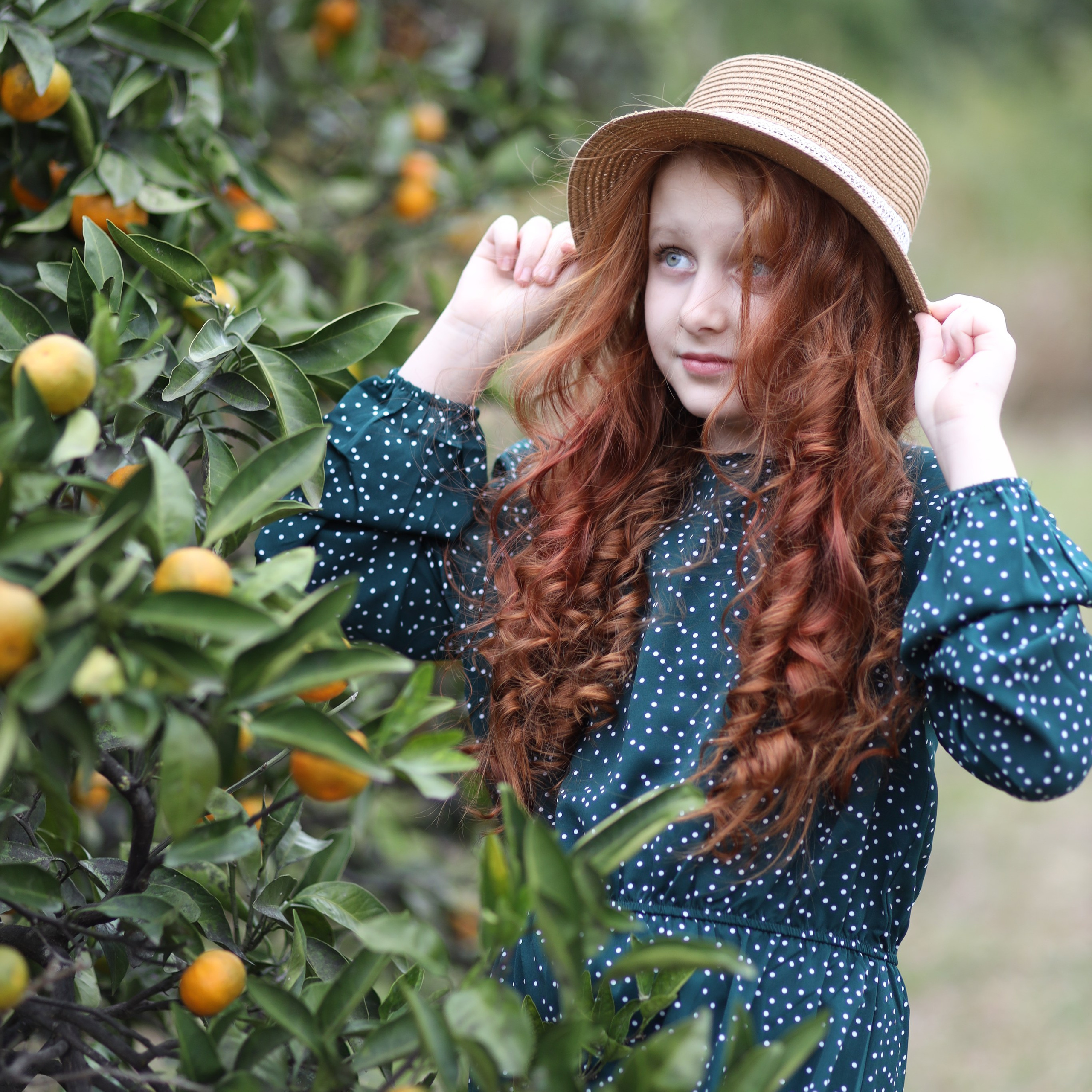 Отзывы. Alexsaphoto.ru