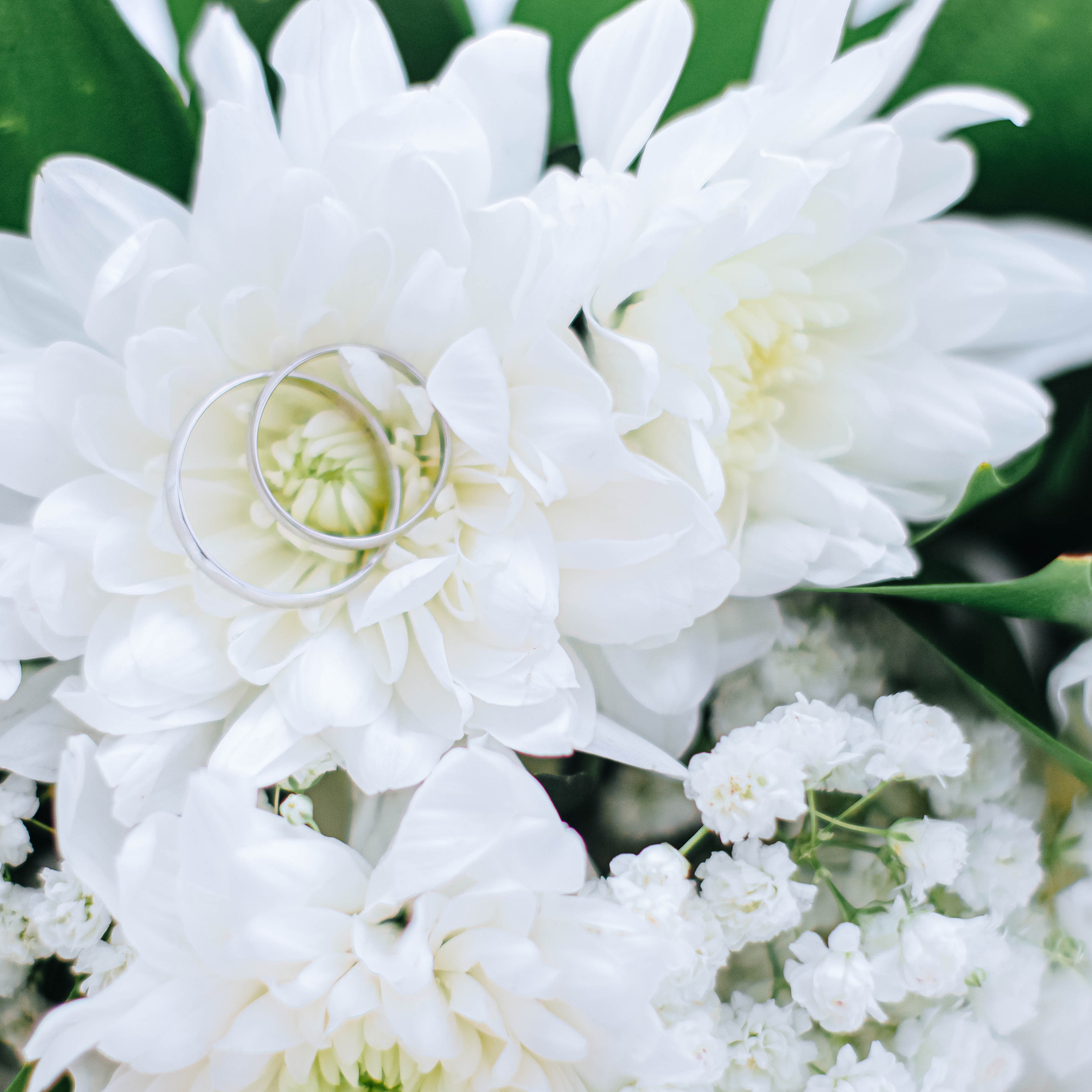 Отзывы. Alexsaphoto.ru