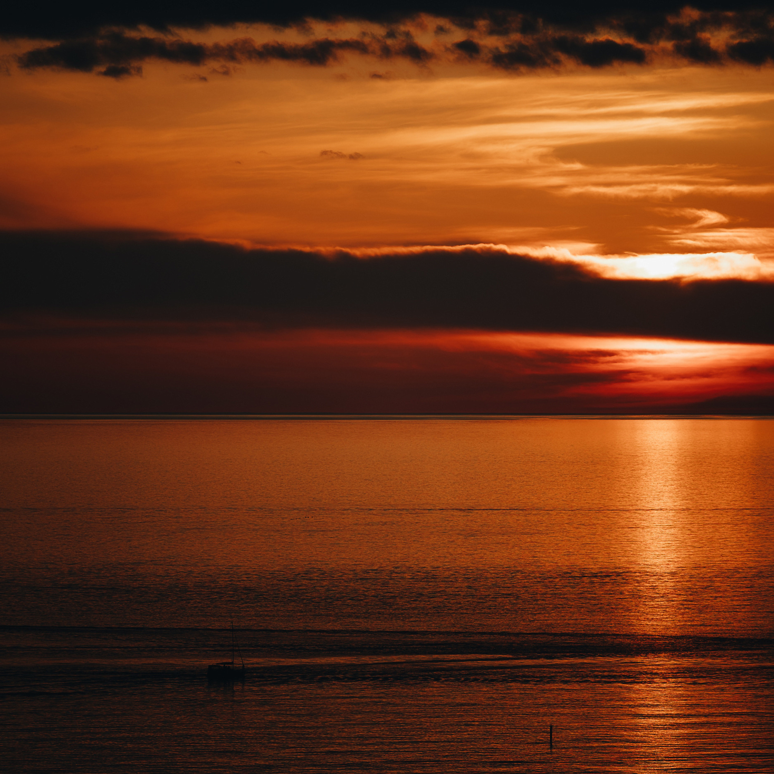 Отзывы. Репортажный фотограф в Сочи и Москве Кирилл Гужвинский