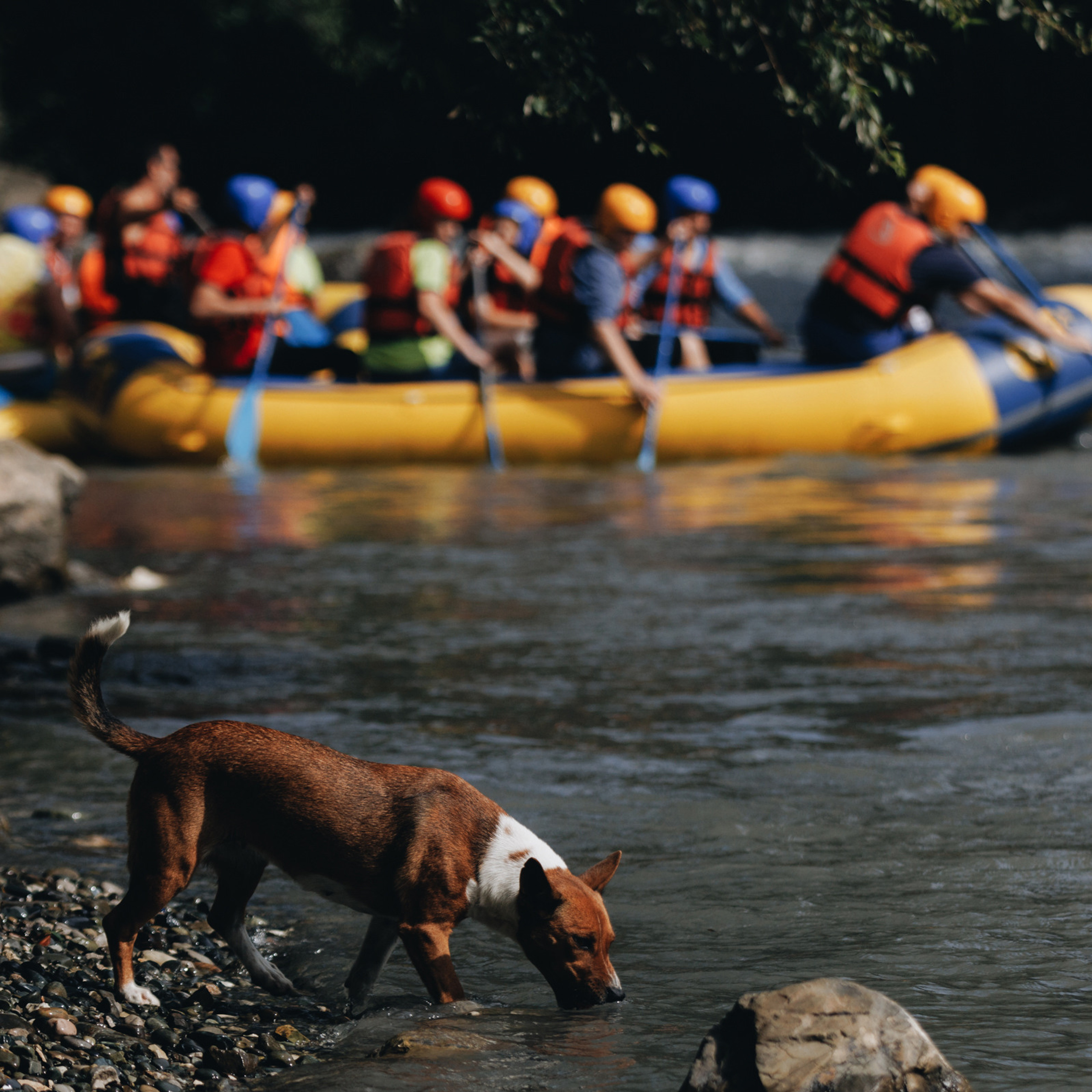 Отзывы. Репортажный фотограф в Сочи и Москве Кирилл Гужвинский
