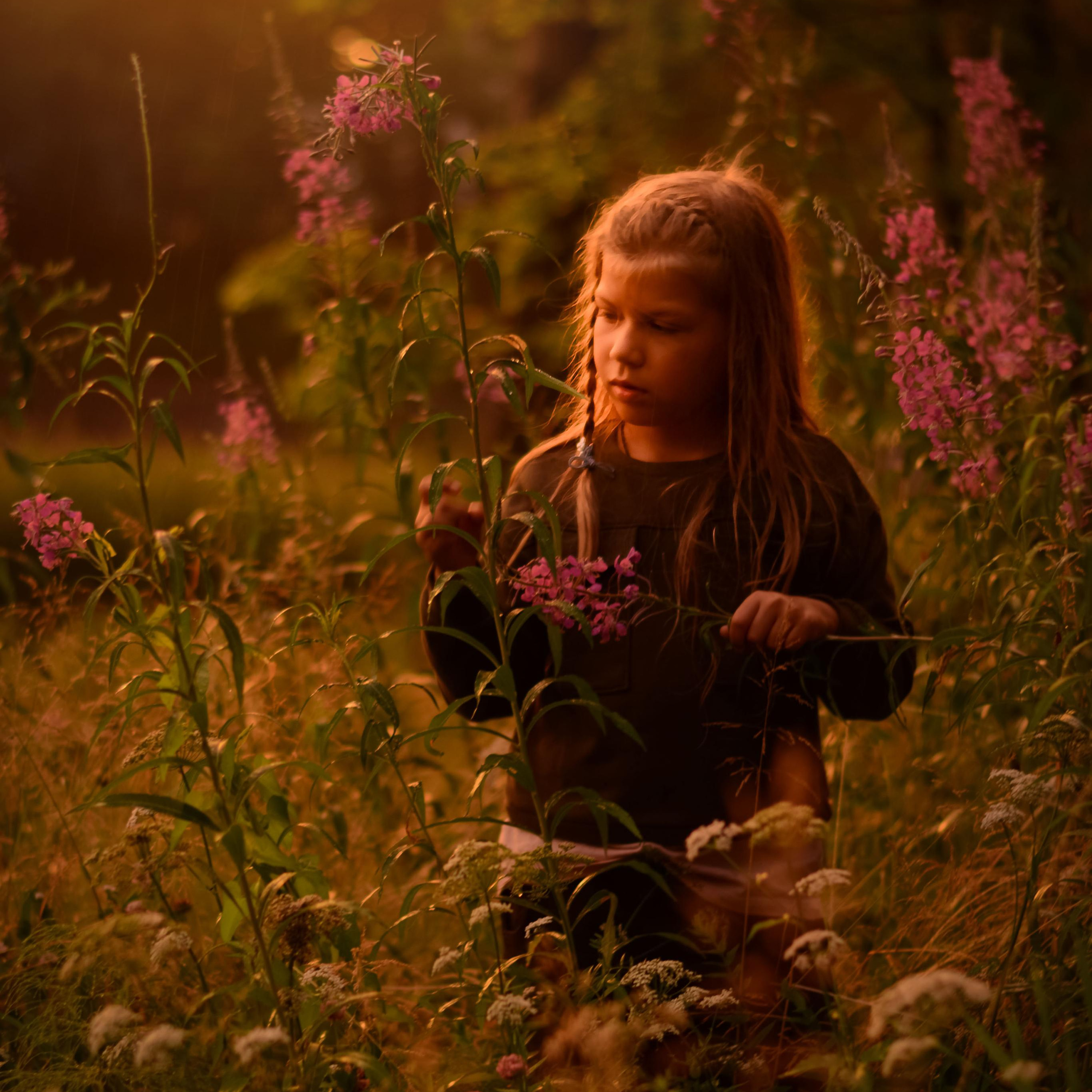 Золотой вечер