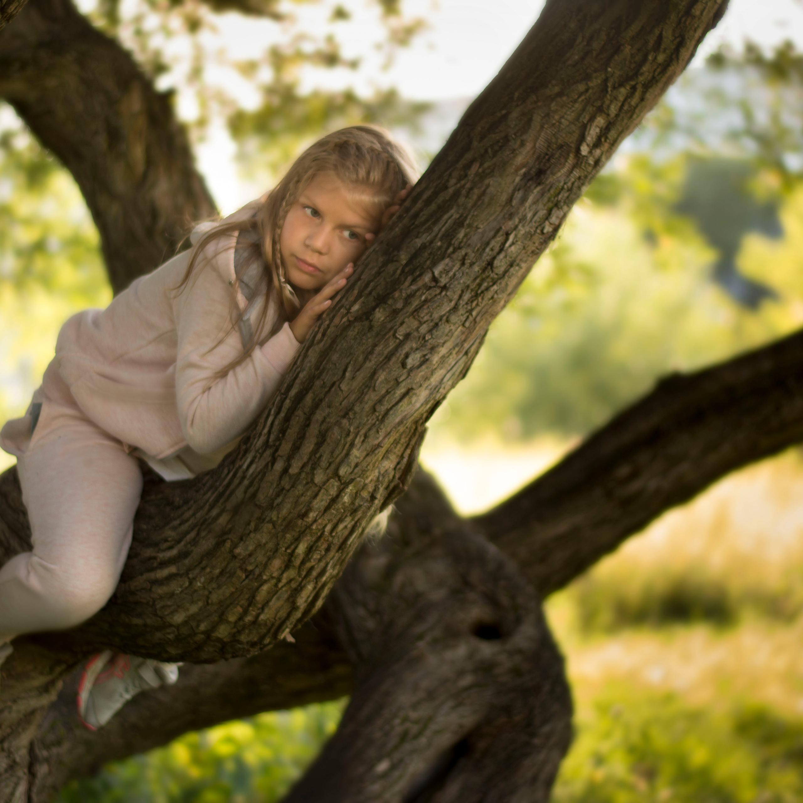 Берег реки. Старые ивы