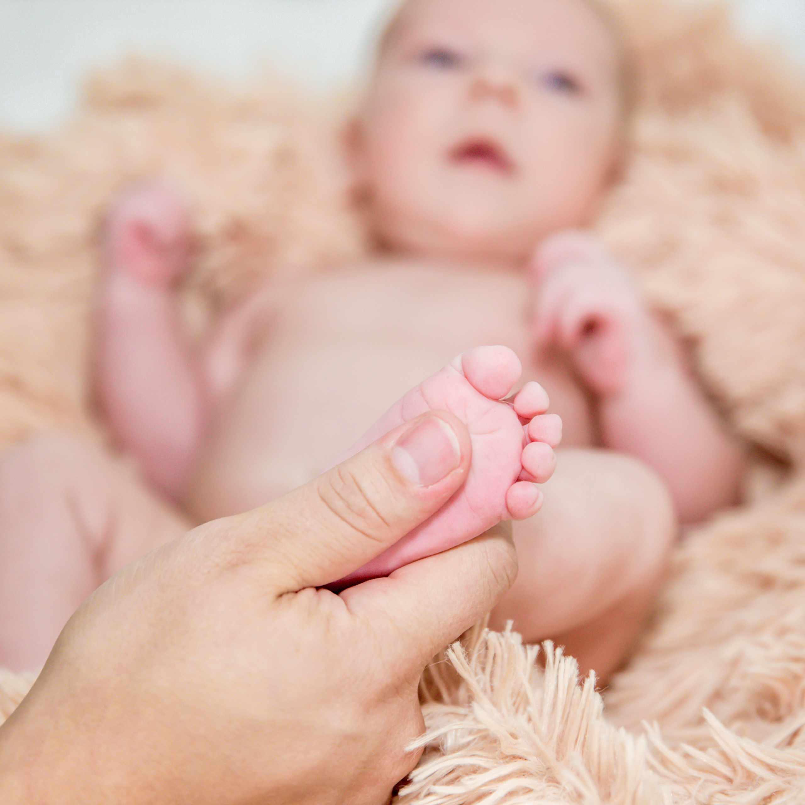 Фотосессия Льва