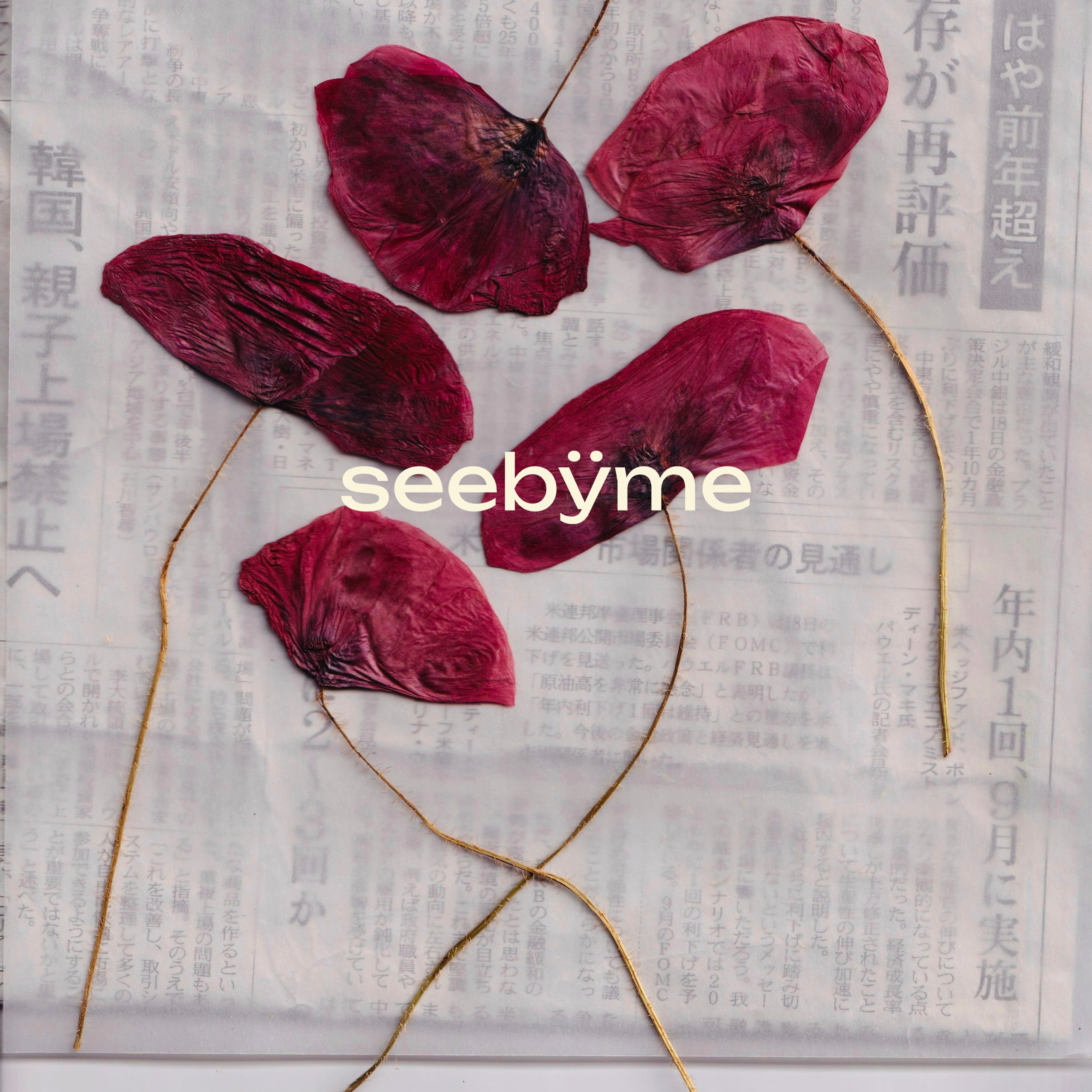 Seebÿme