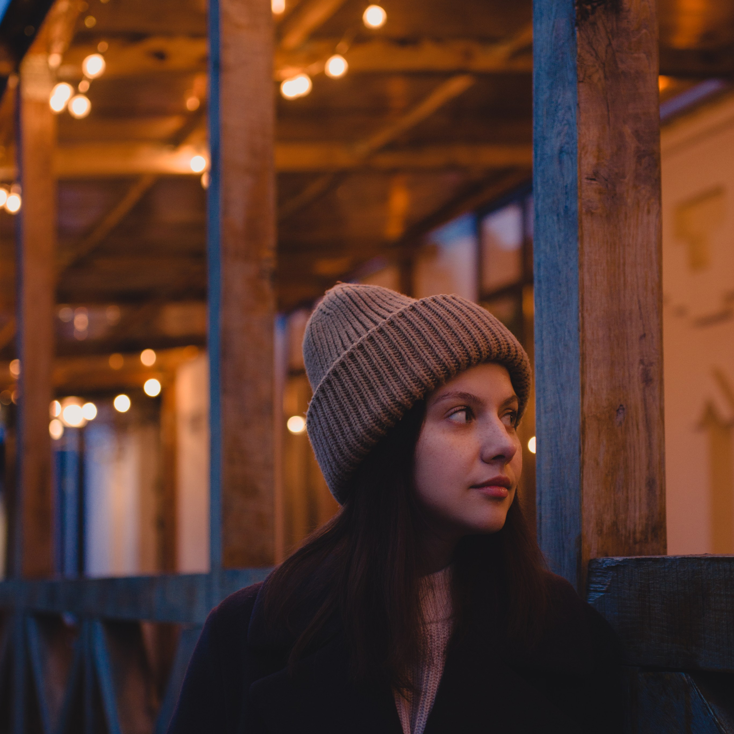 Софи. Огни вечернего города