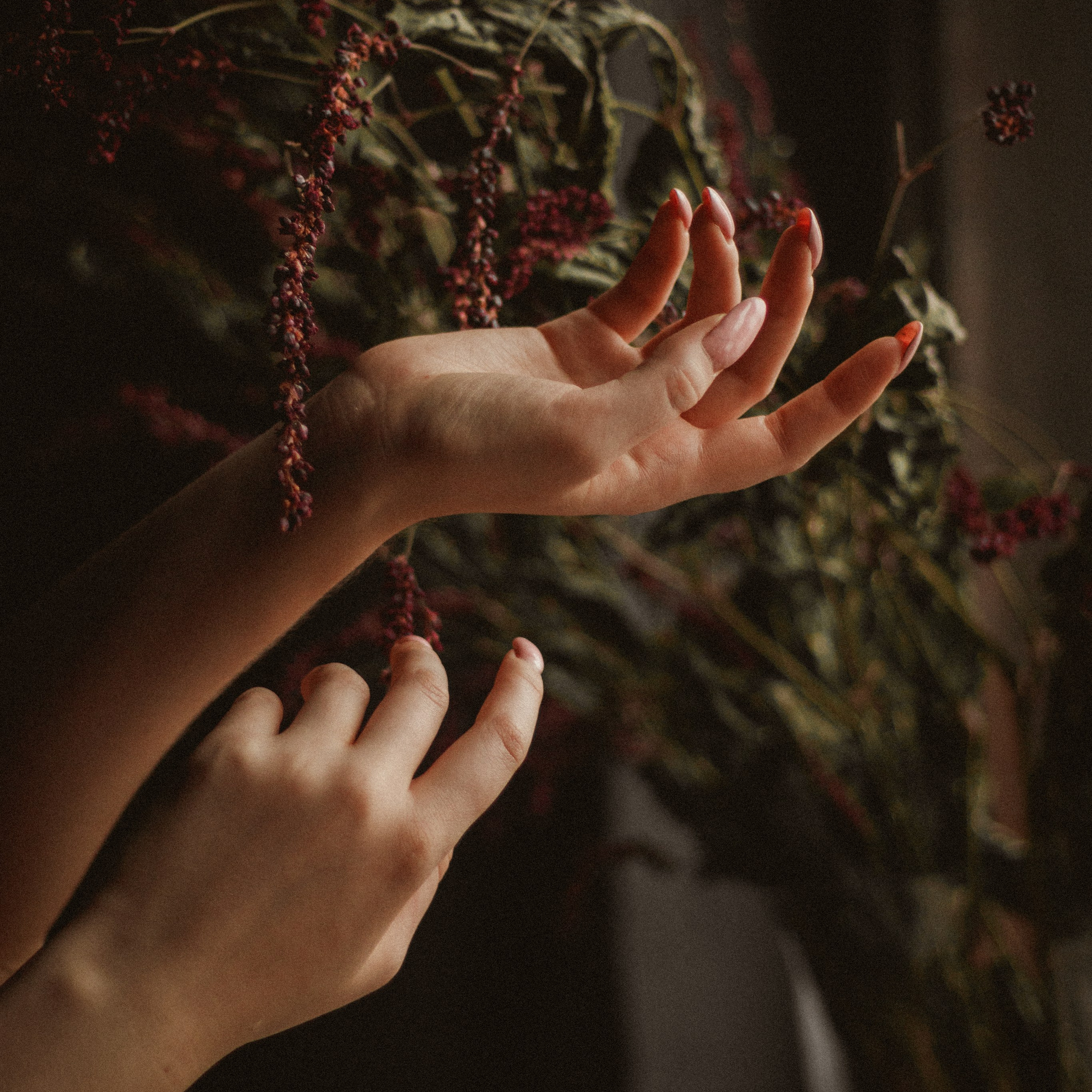 Пакеты услуг. Фотограф — Новосибирск