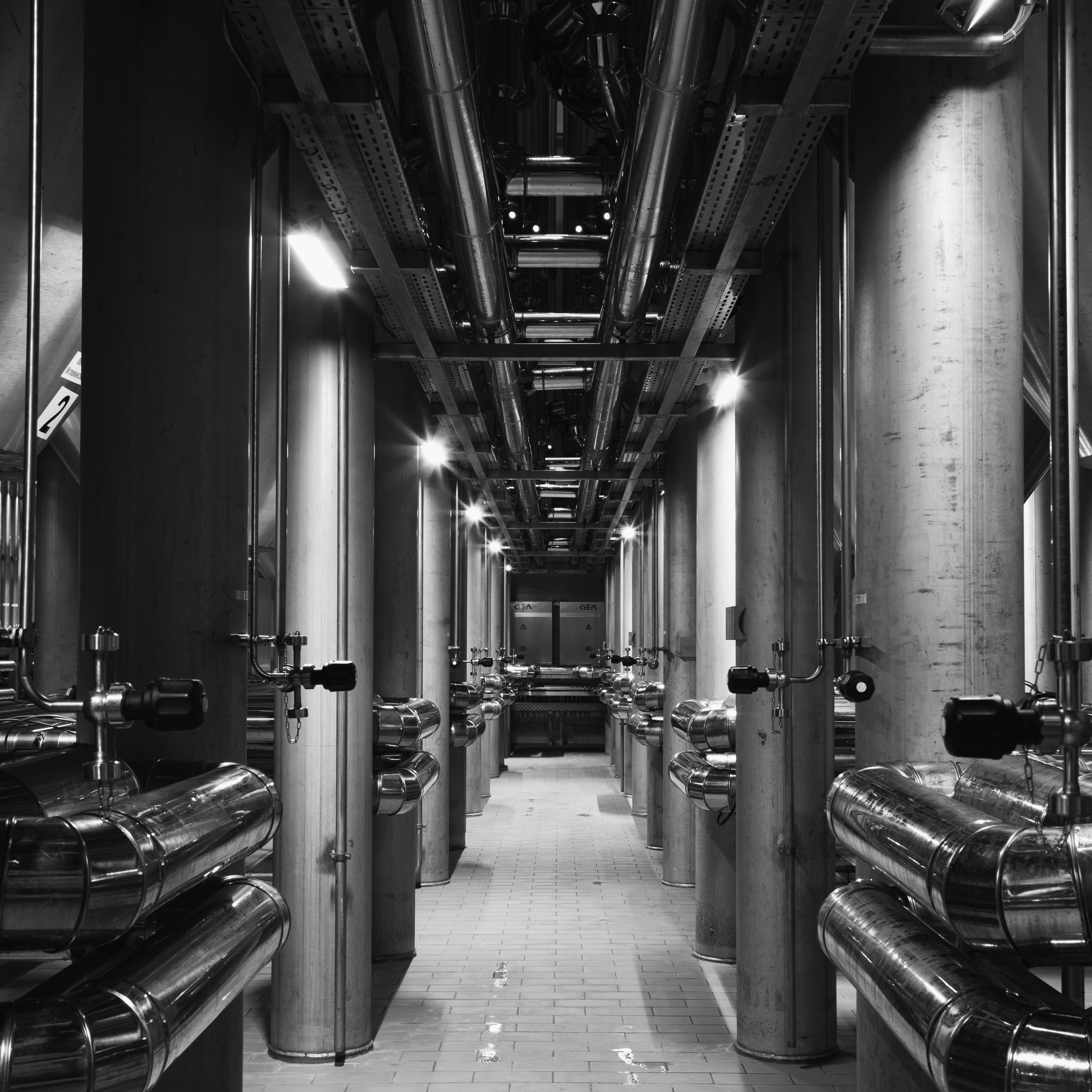 Street. Фотограф Краснодар