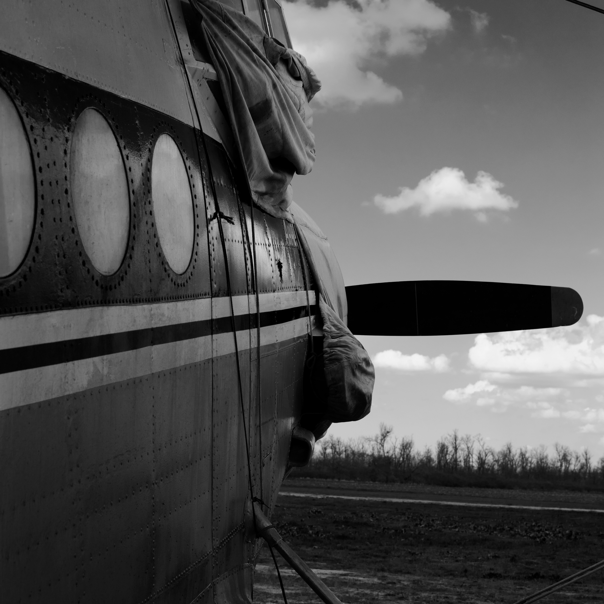 Street. Фотограф Краснодар