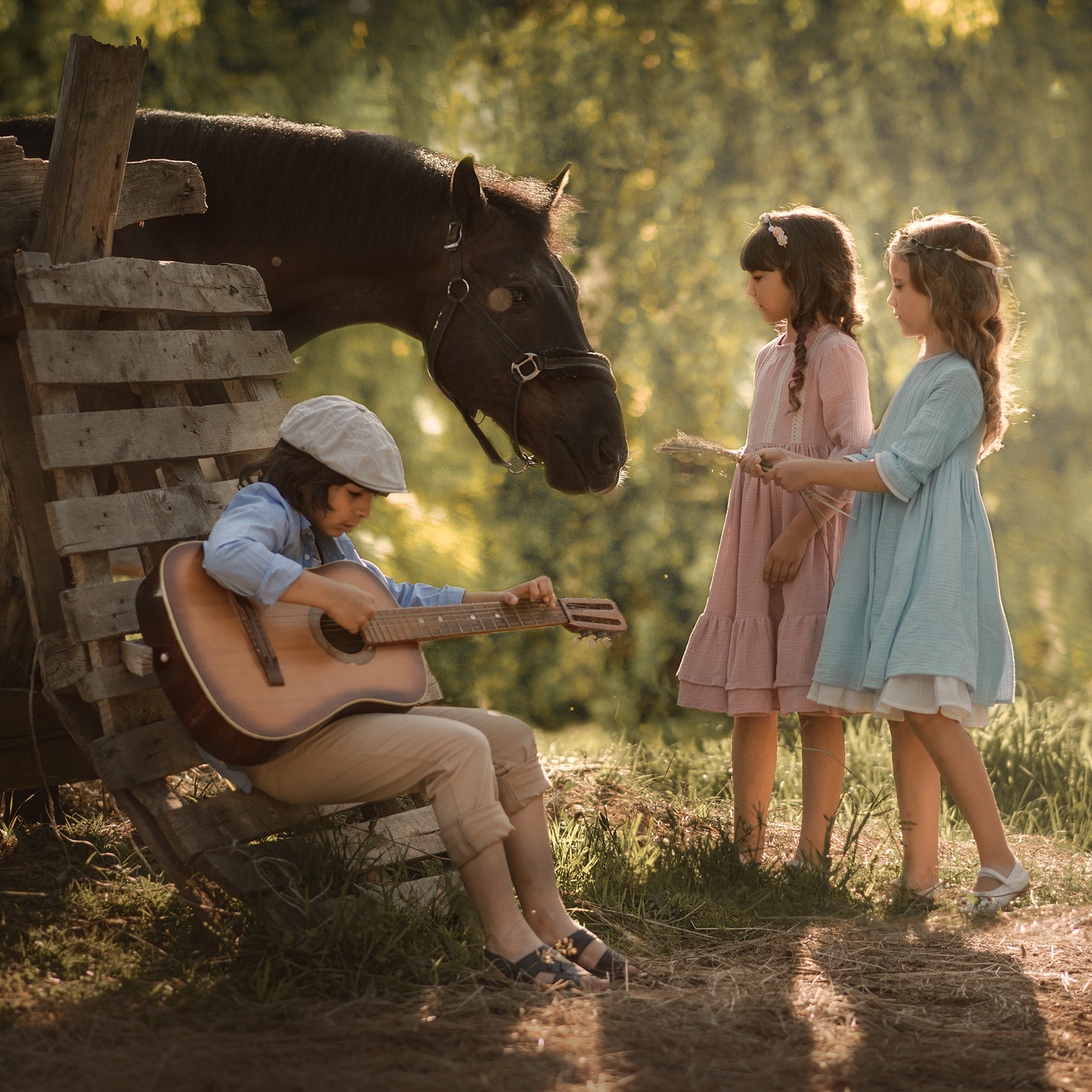 Выходной на конюшне