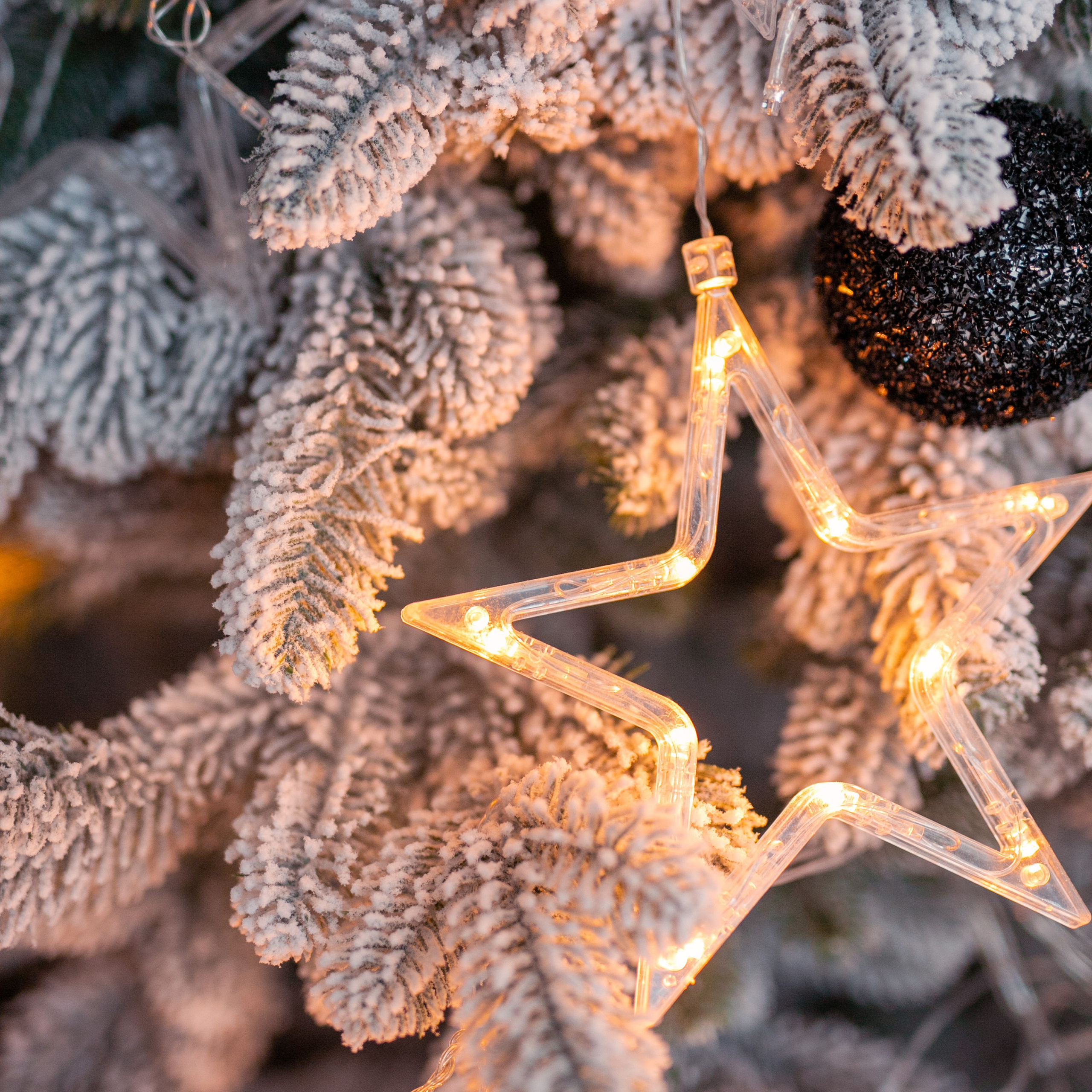 Отзывы. Фотограф Анастасия Петрова