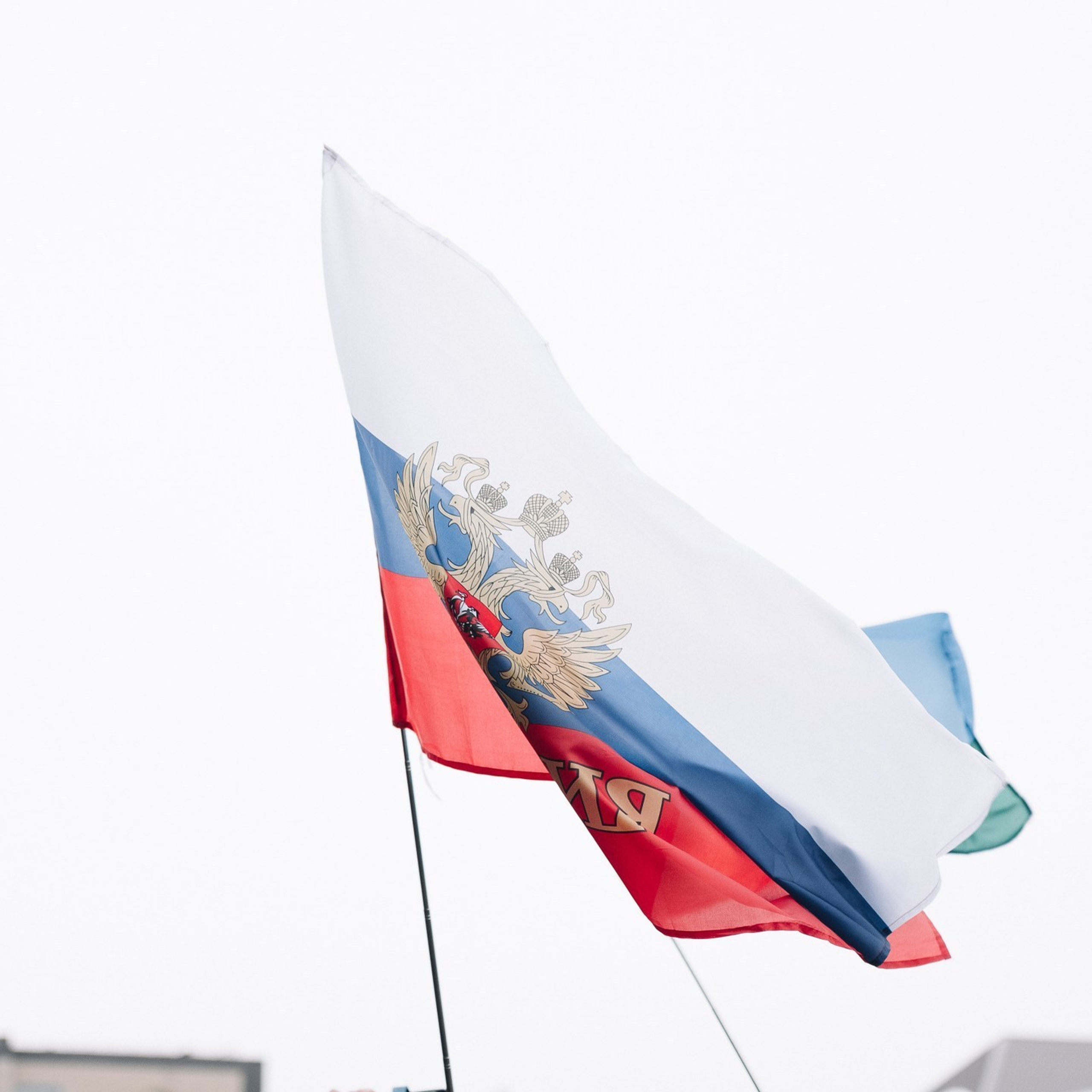 Отзывы. Свадебный и репортажный фотограф