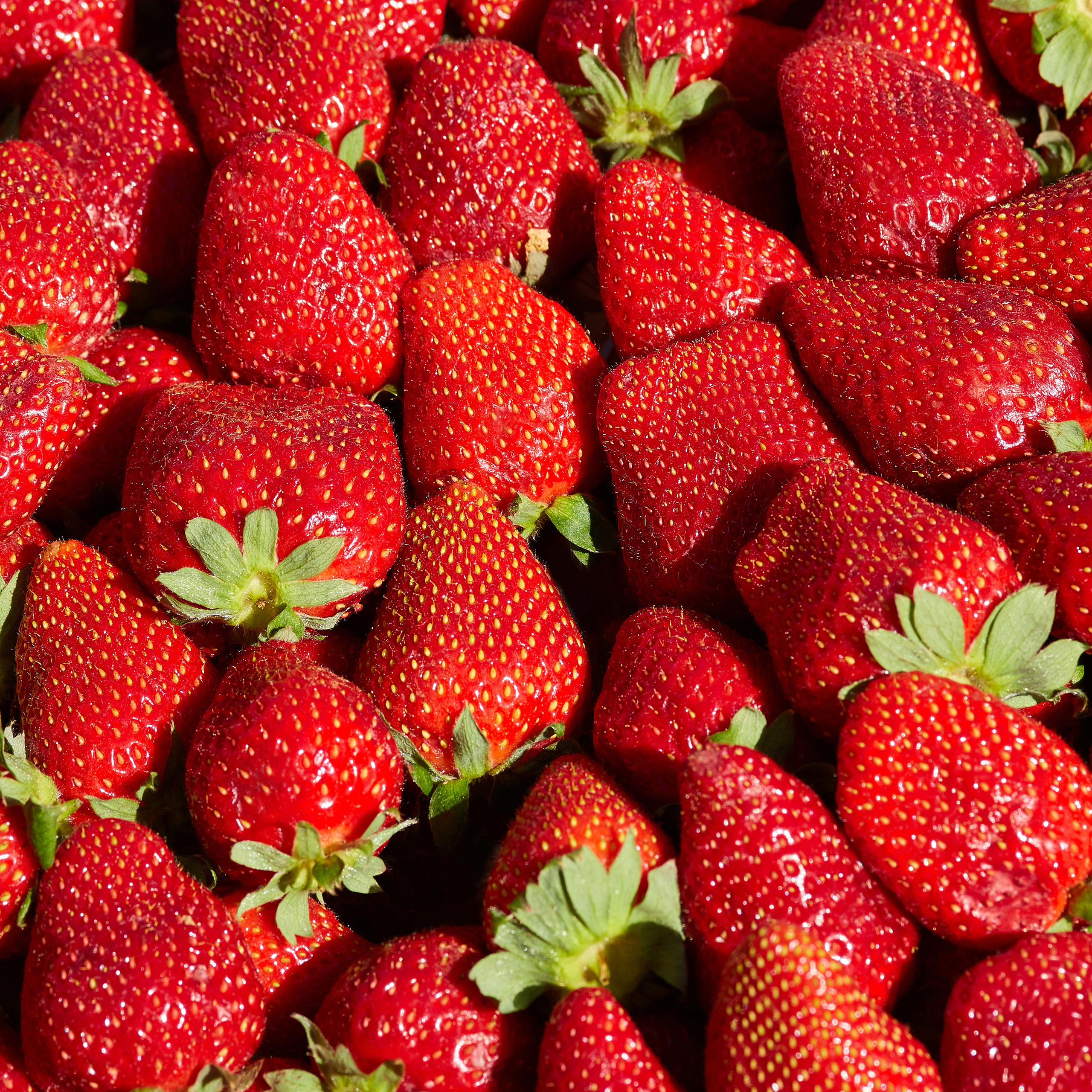 Еда реклама