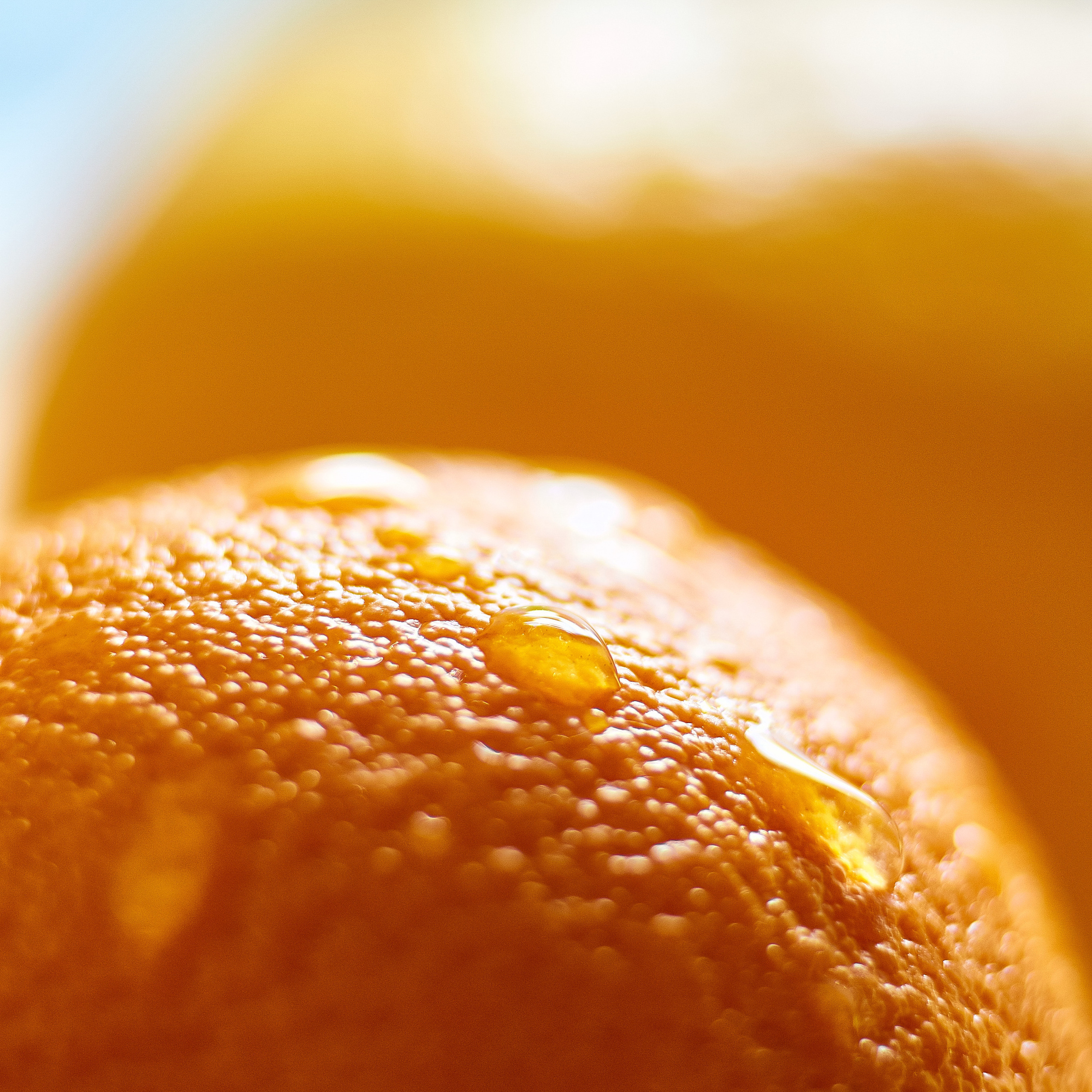 Маркет плейс, еда, апельсины